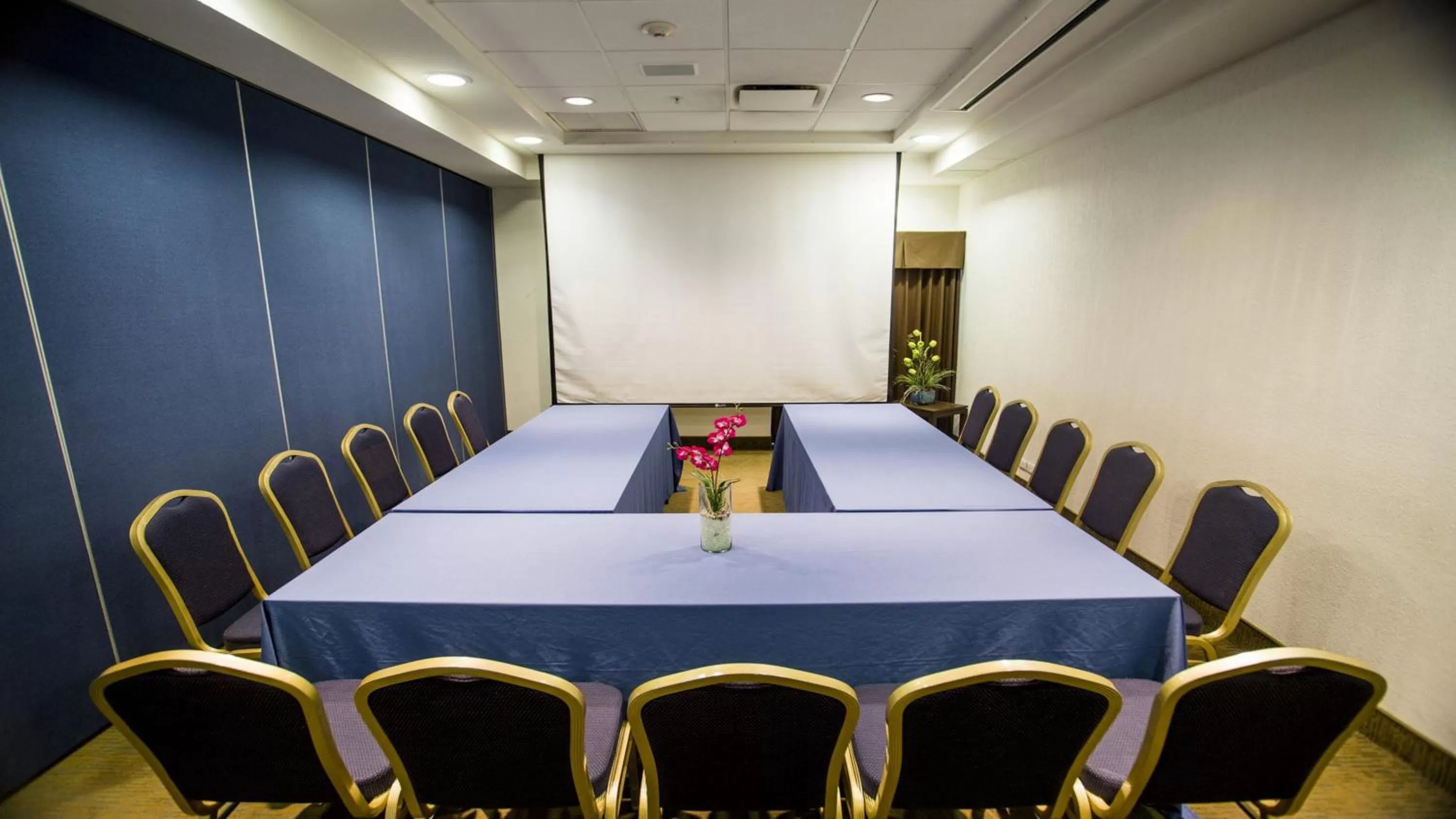 Meeting/conference room in Holiday Inn Express Tuxtla Gutierrez La Marimba by IHG