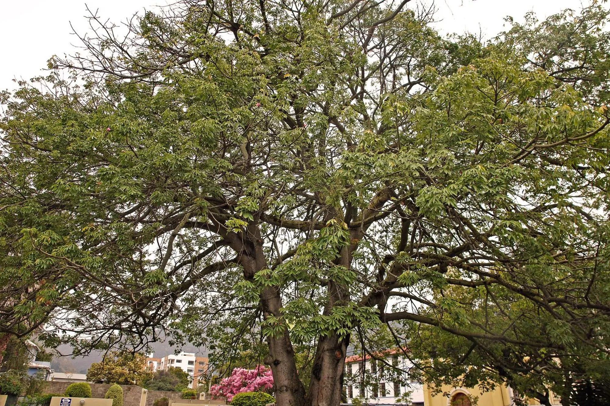 Hiking in Hotel Florida