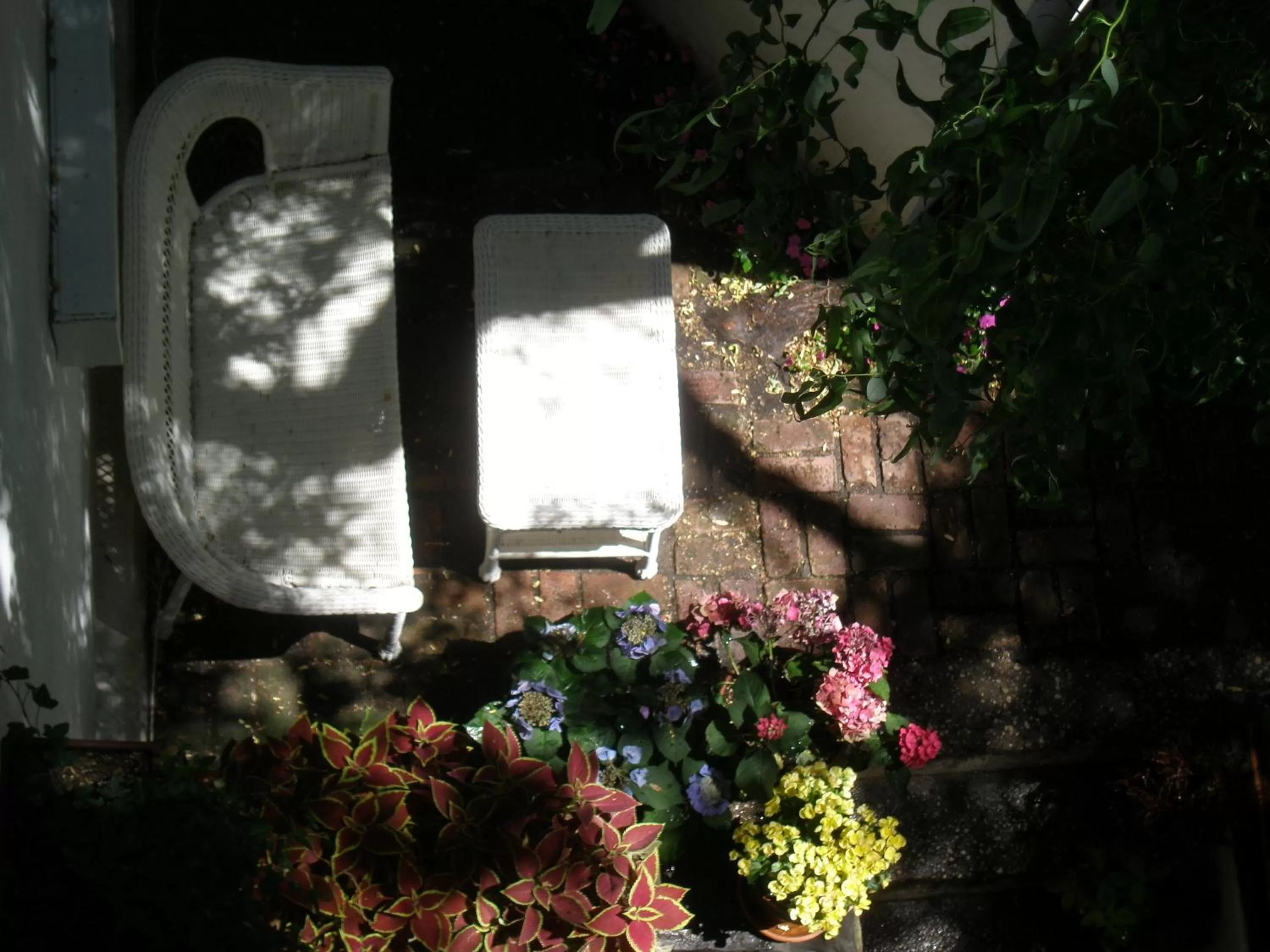 Garden in Incentra Village Hotel