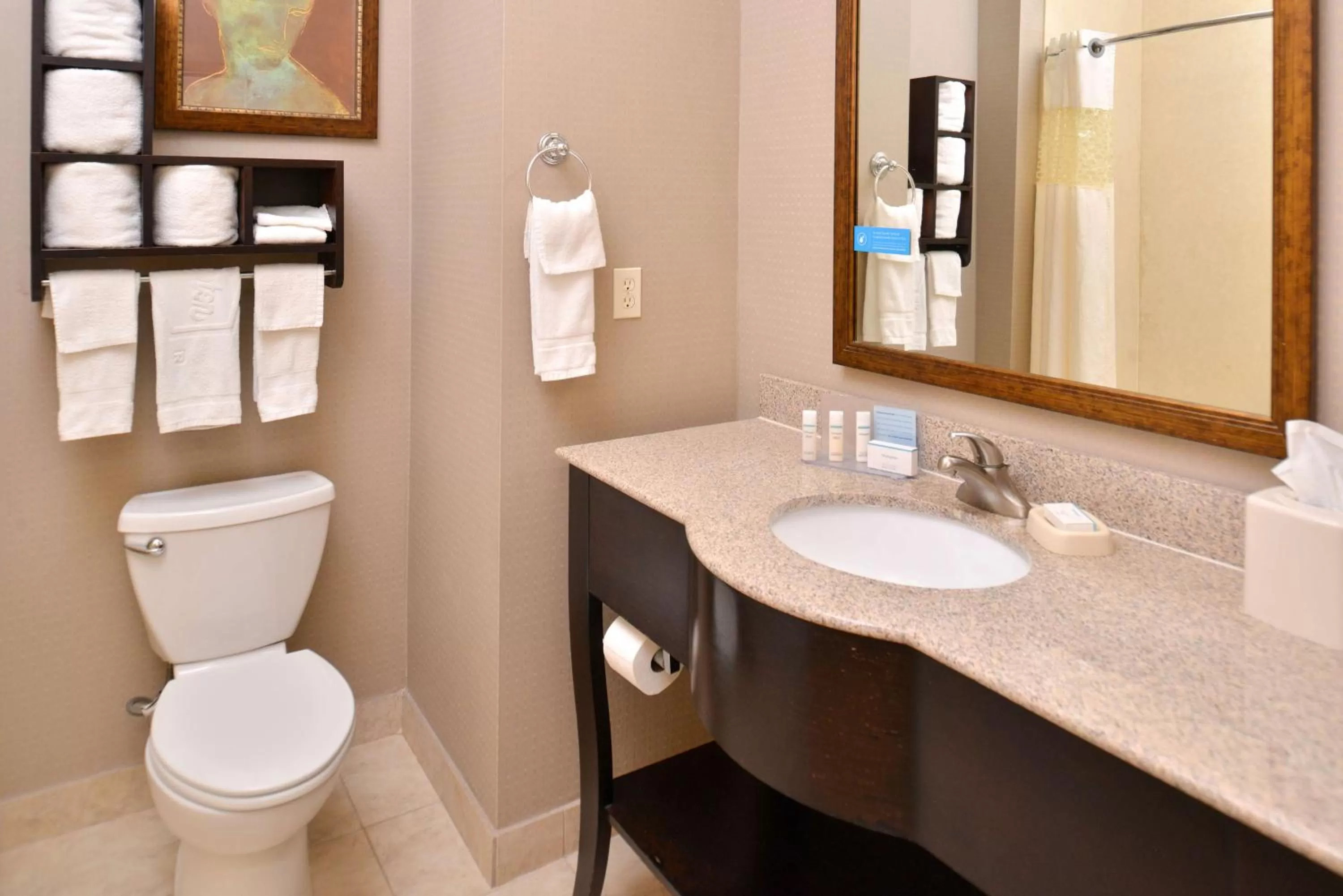 Bathroom in Hampton Inn Van Horn