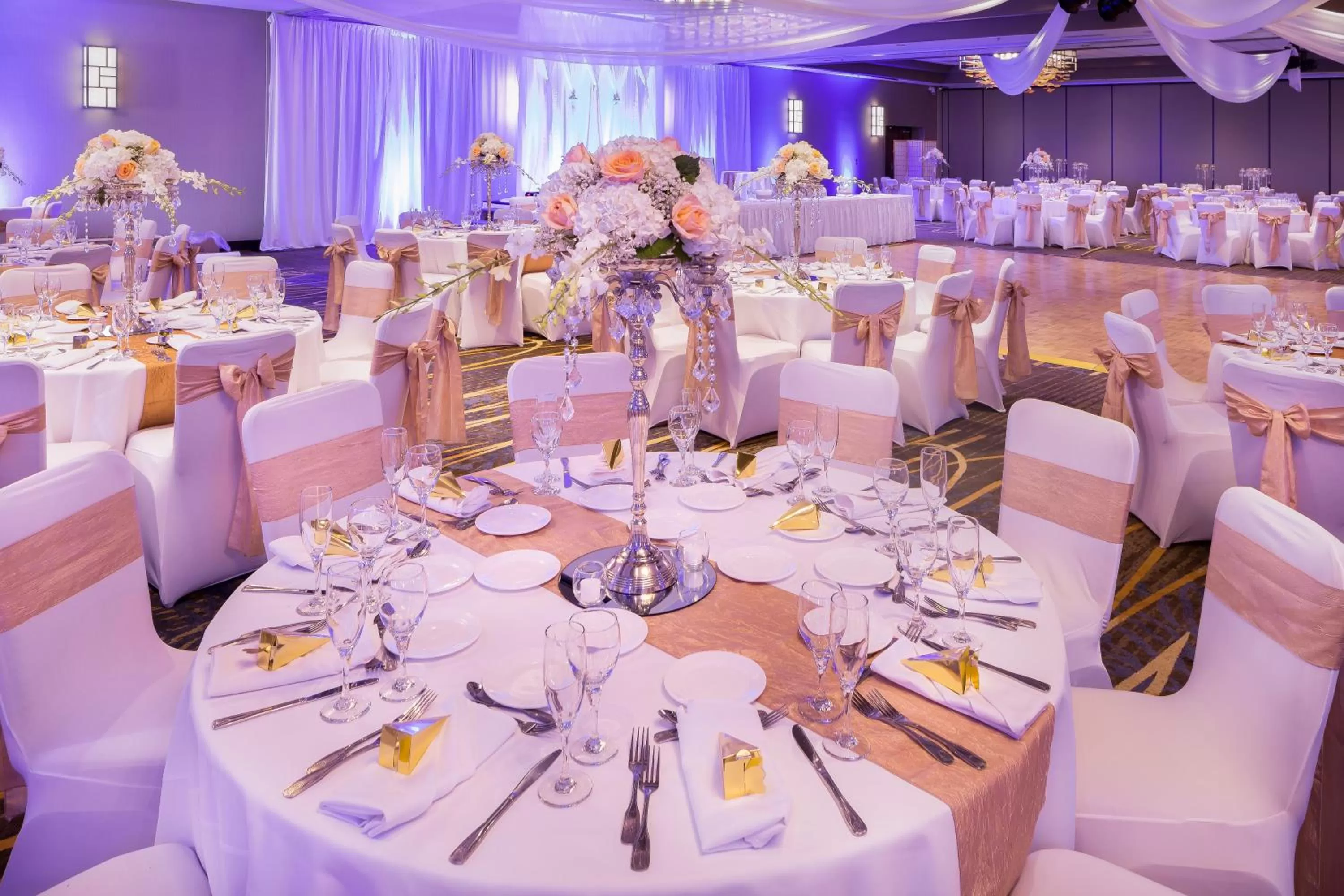 Meeting/conference room in Crowne Plaza Hotel Foster City-San Mateo by IHG