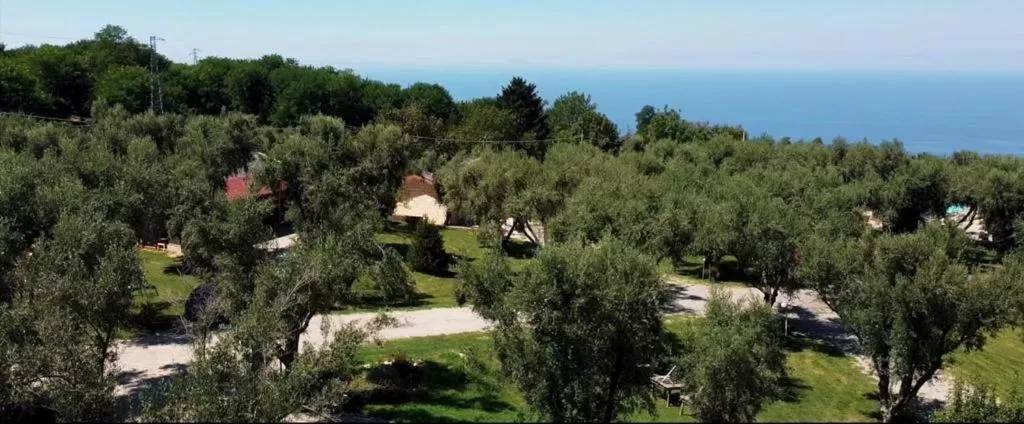 Green Park Hotel & Residence