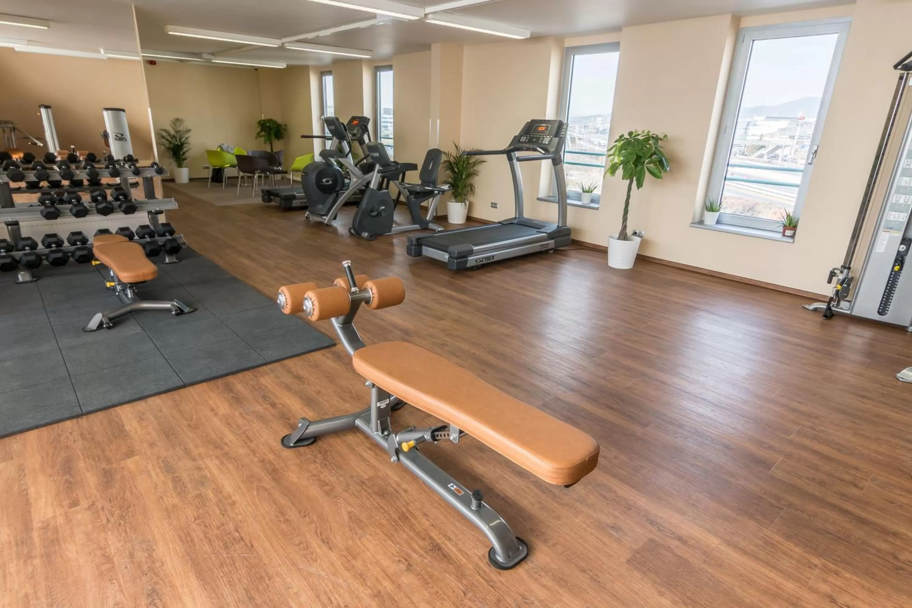 Fitness centre/facilities in Holiday Inn Budapest-Budaörs by IHG