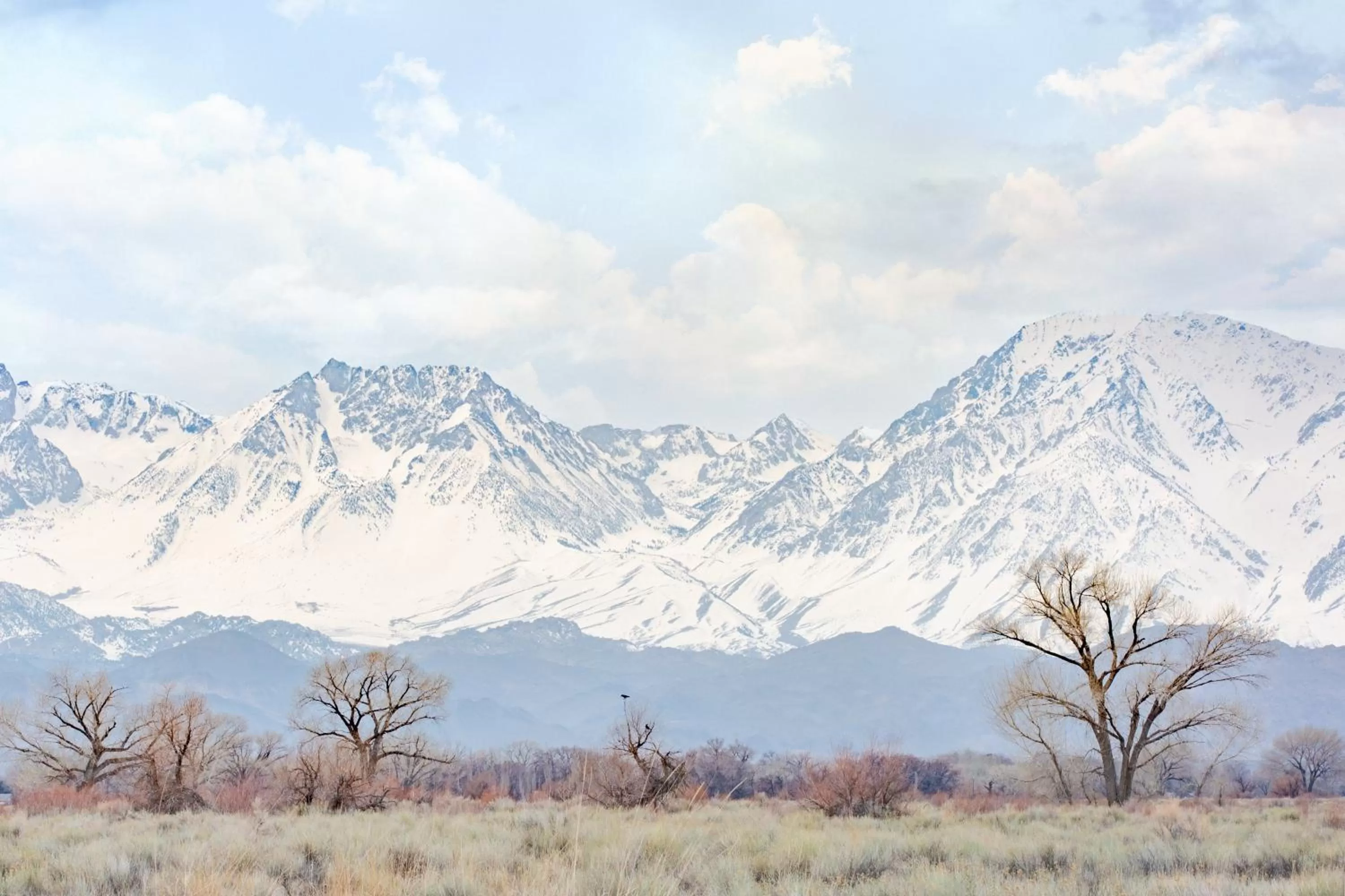 Nearby landmark in Holiday Inn Express Hotel & Suites Bishop by IHG