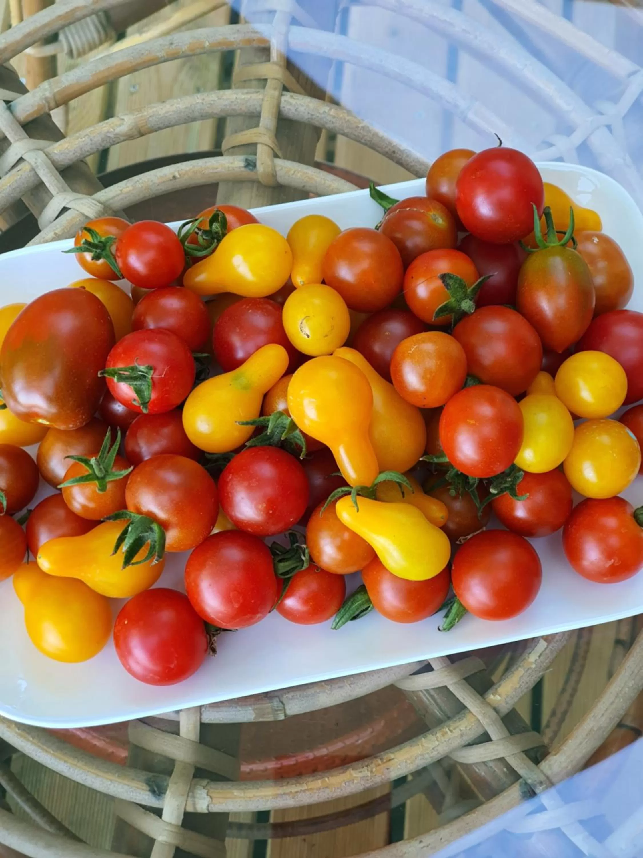 Food in A l'Ecole Buissonnière, chambre d'hôtes en Sidobre
