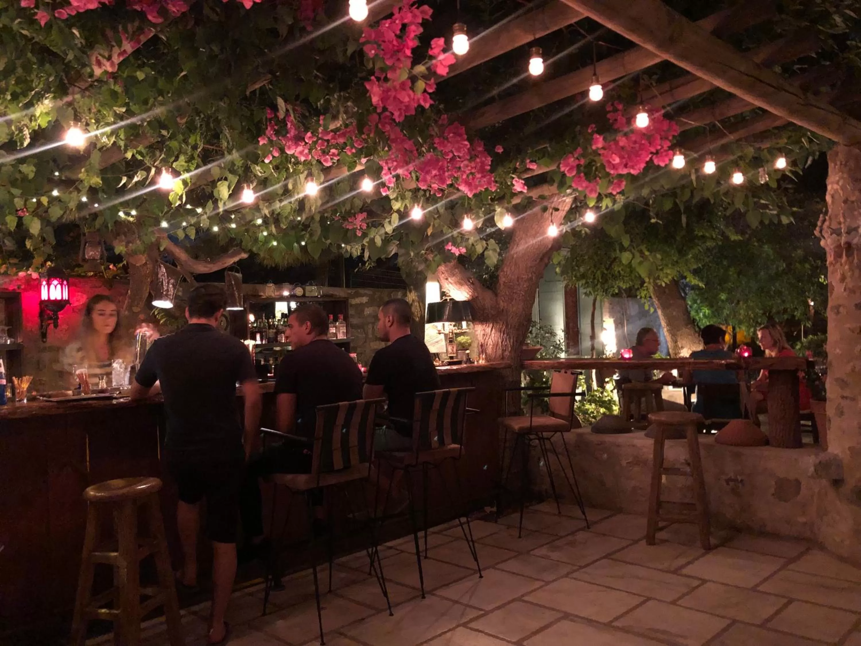 People, Restaurant/Places to Eat in Ha La Bodrum