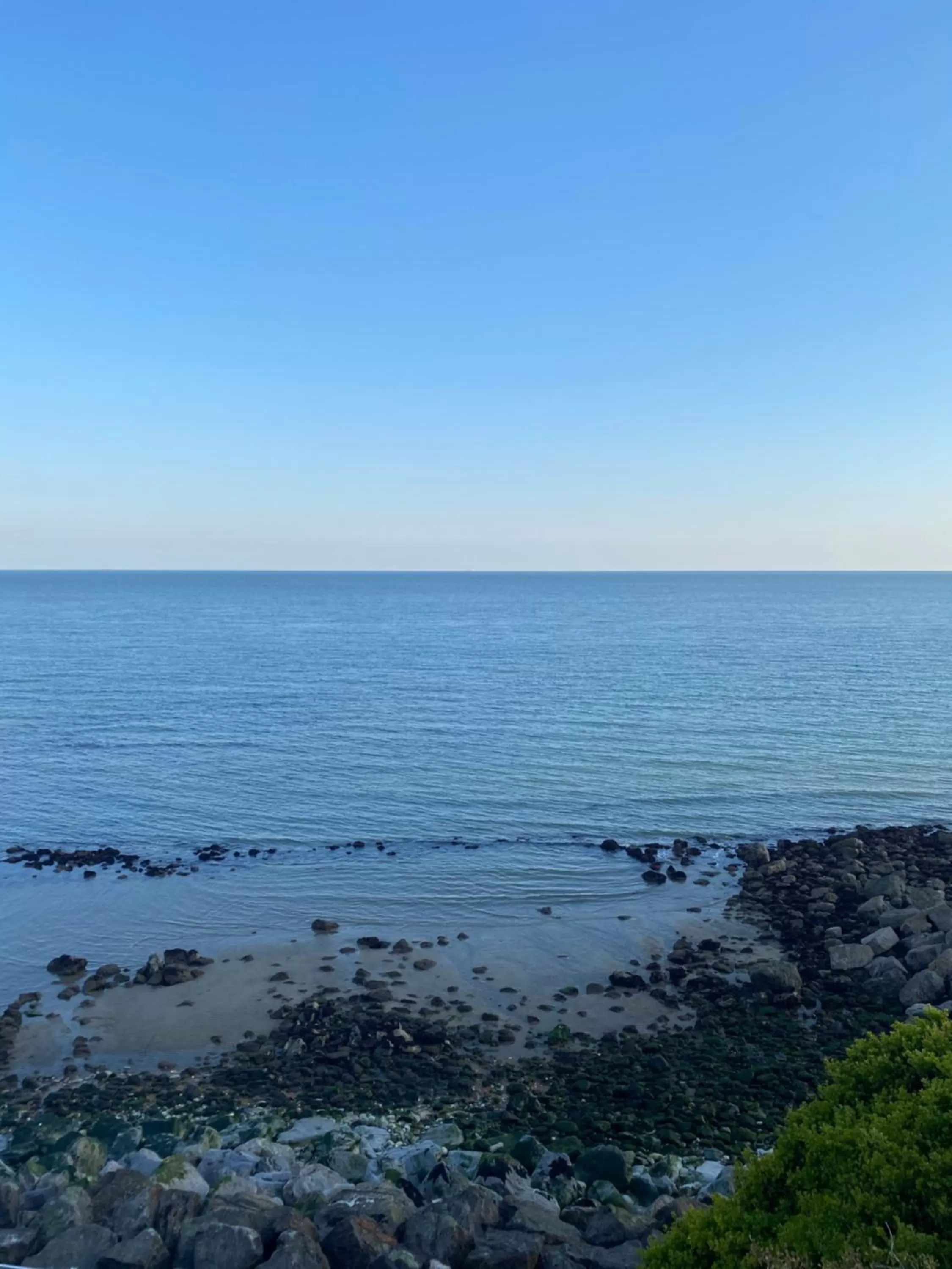 The Wellington Hotel