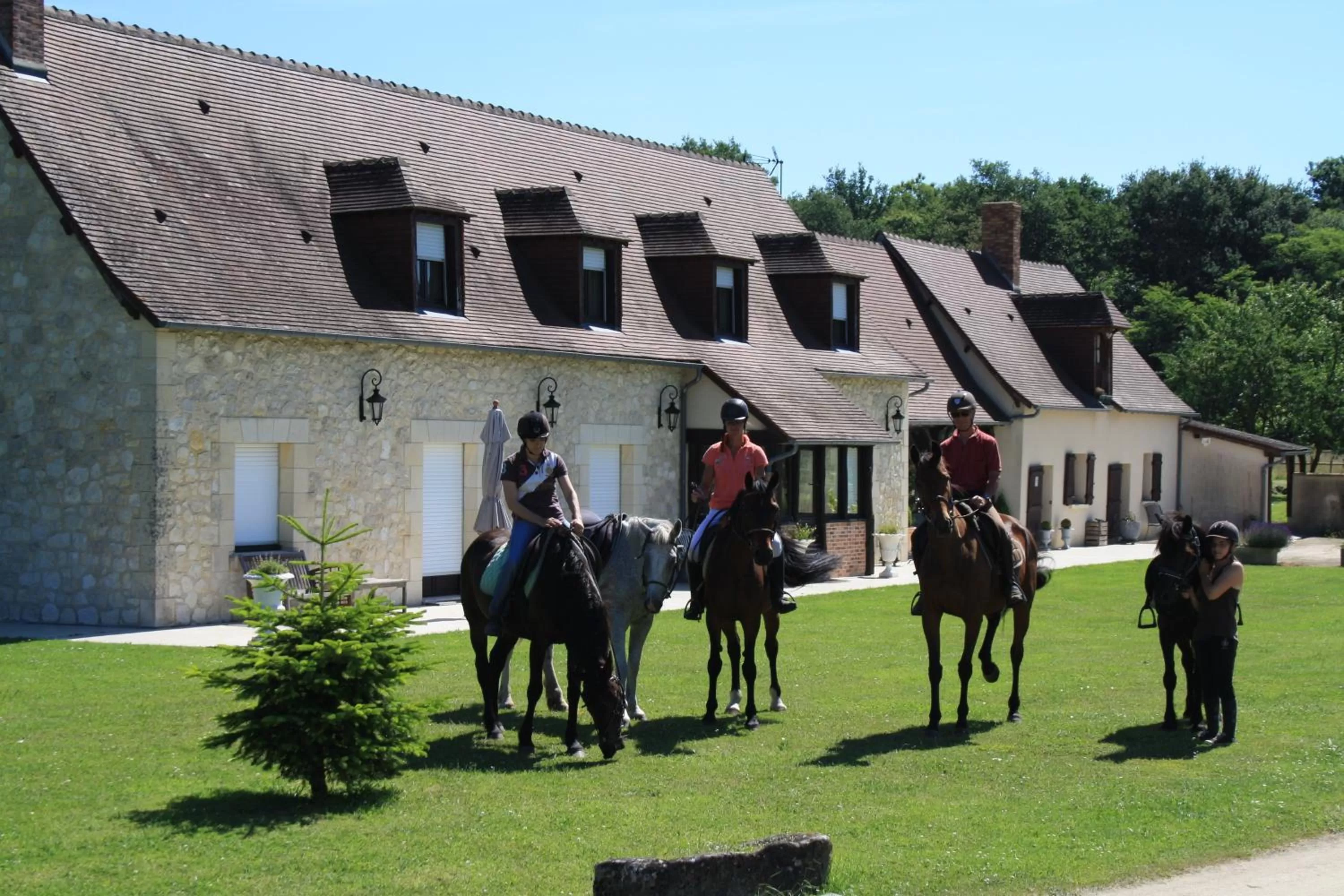 Horse-riding in Chambres et Table d'Hôtes Les Machetières