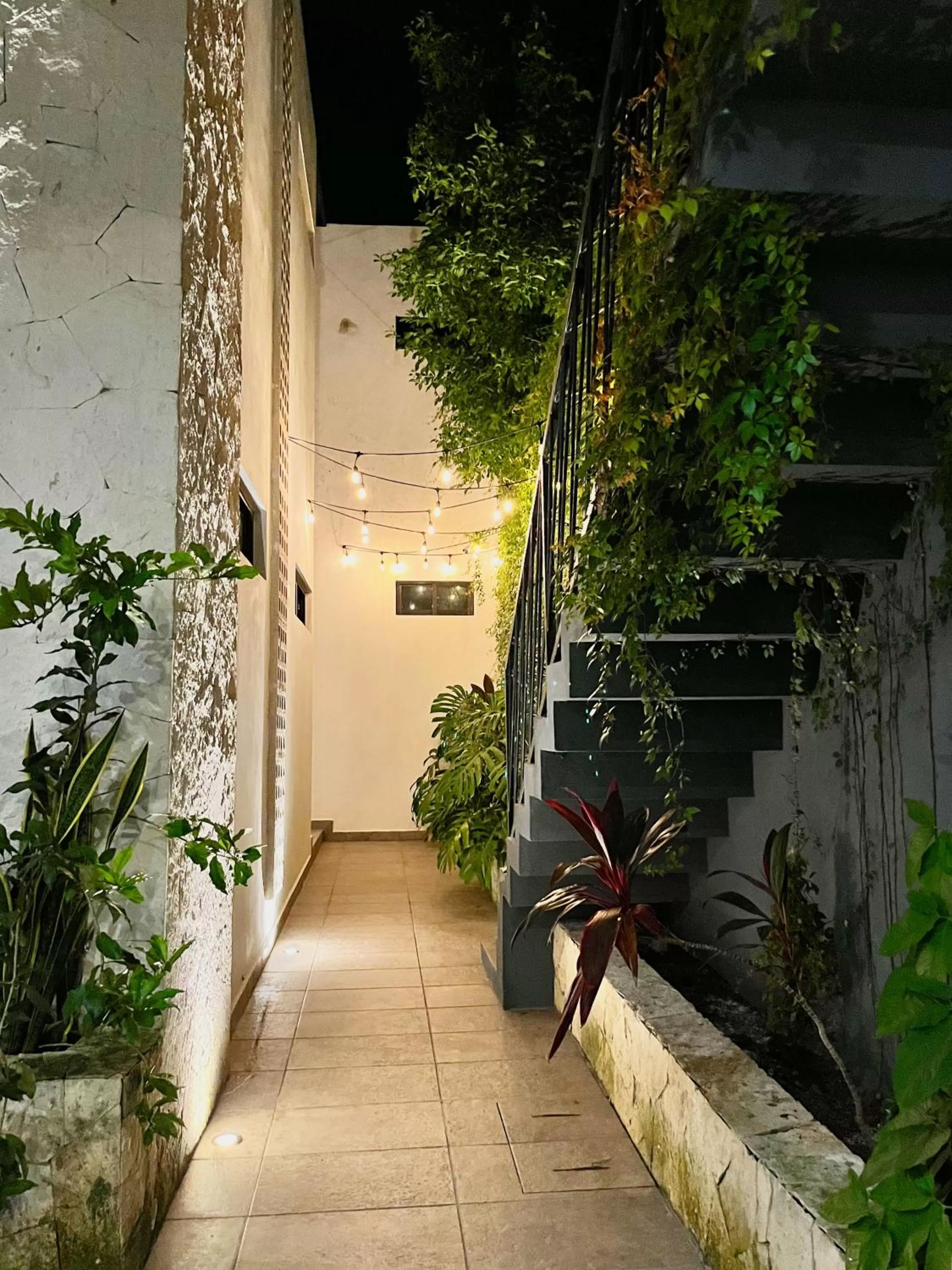 Patio in HOTEL KOOKAY VALLADOLID