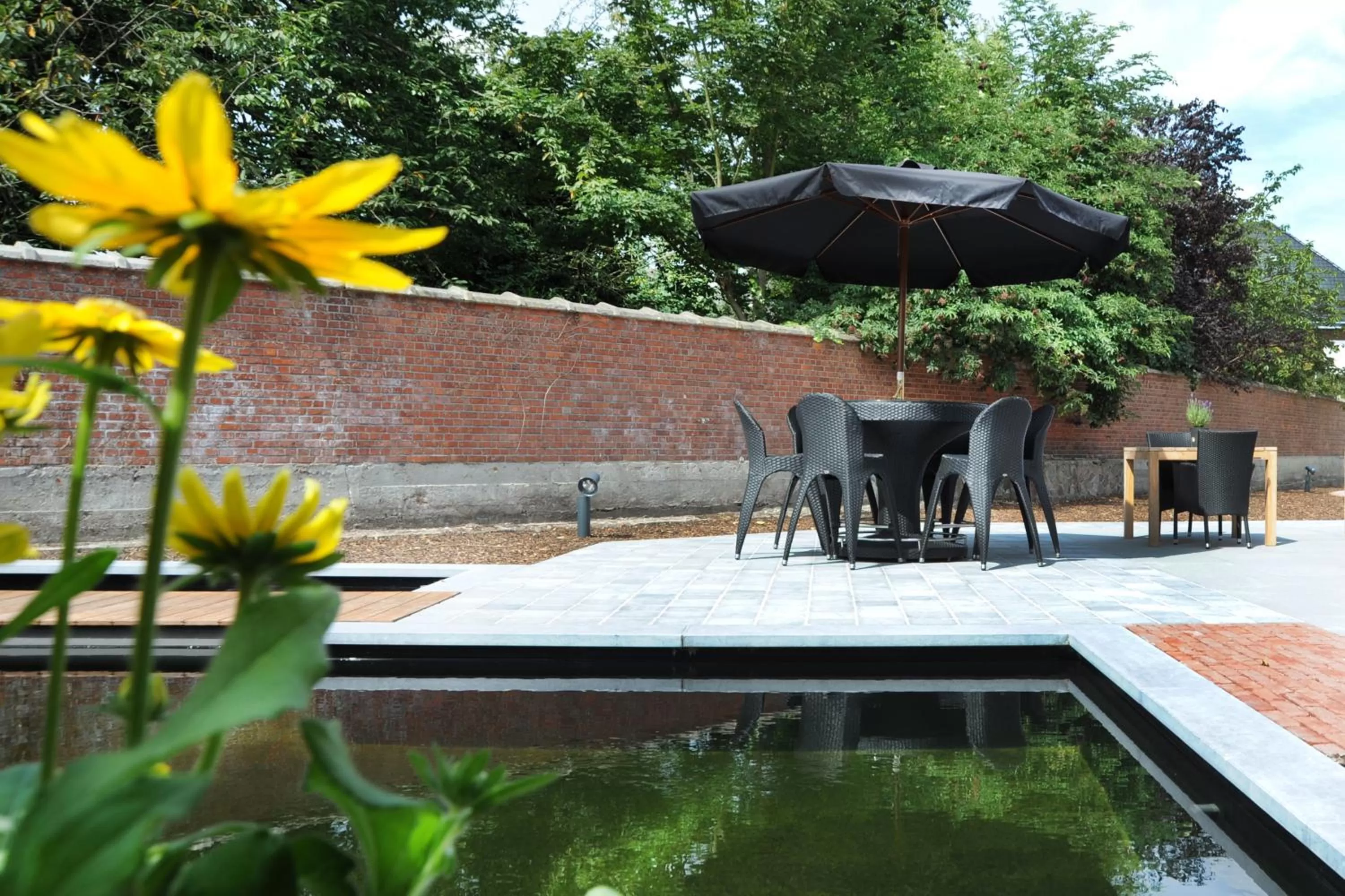 Balcony/Terrace, Swimming Pool in Charmehotel Villa Saporis