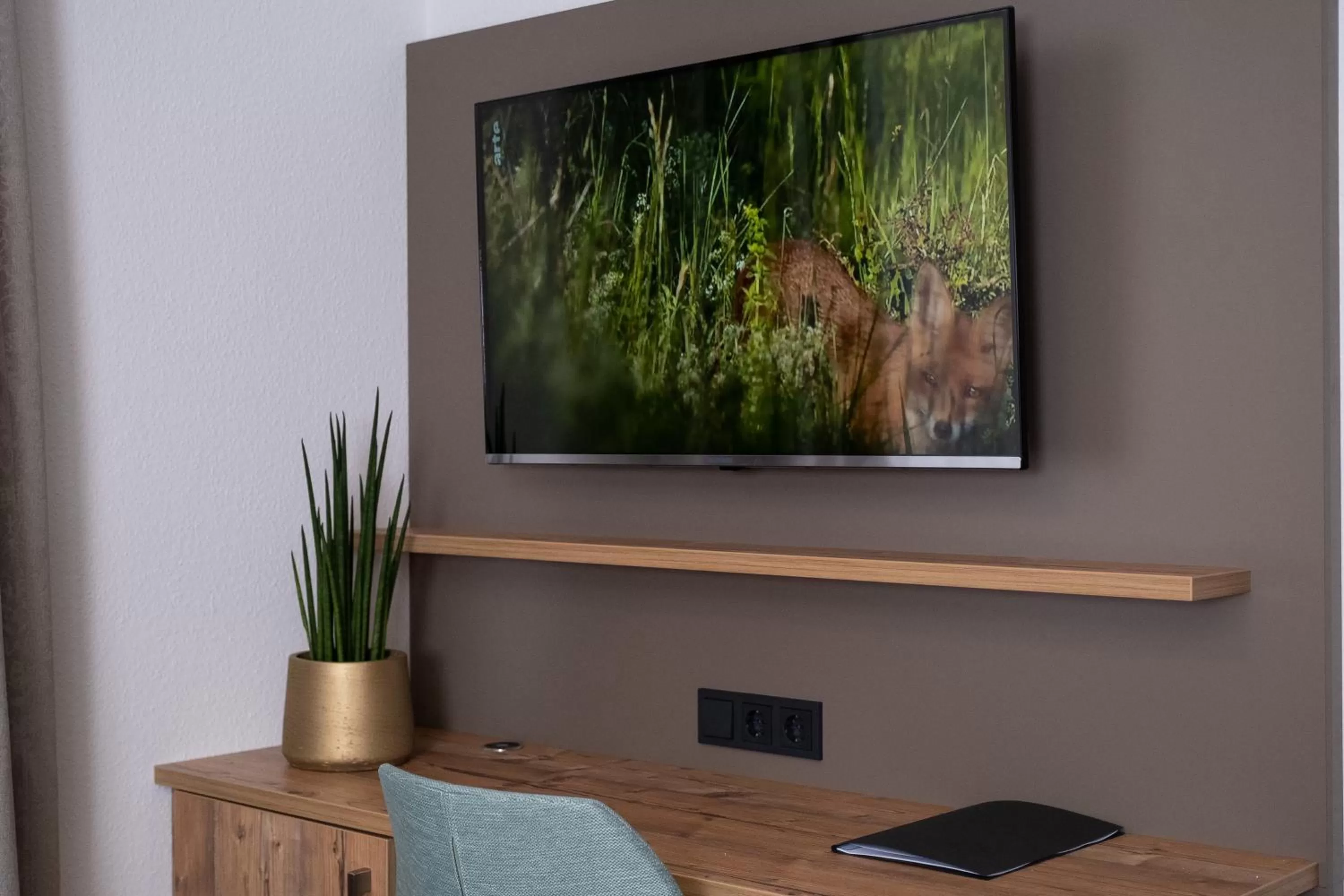 TV/Entertainment Center in Gasthaus Hotel Kranz