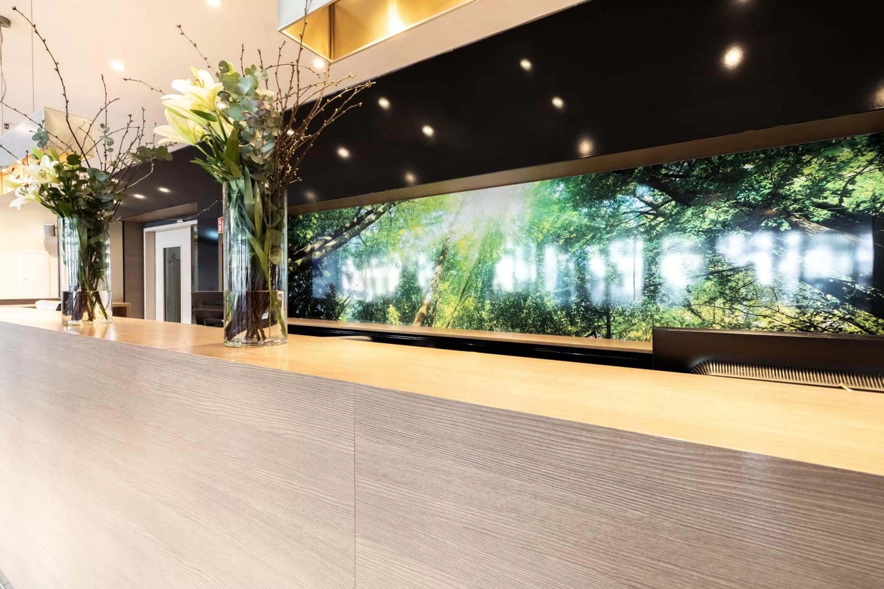 Lobby or reception in Hotel Aldea Berlin