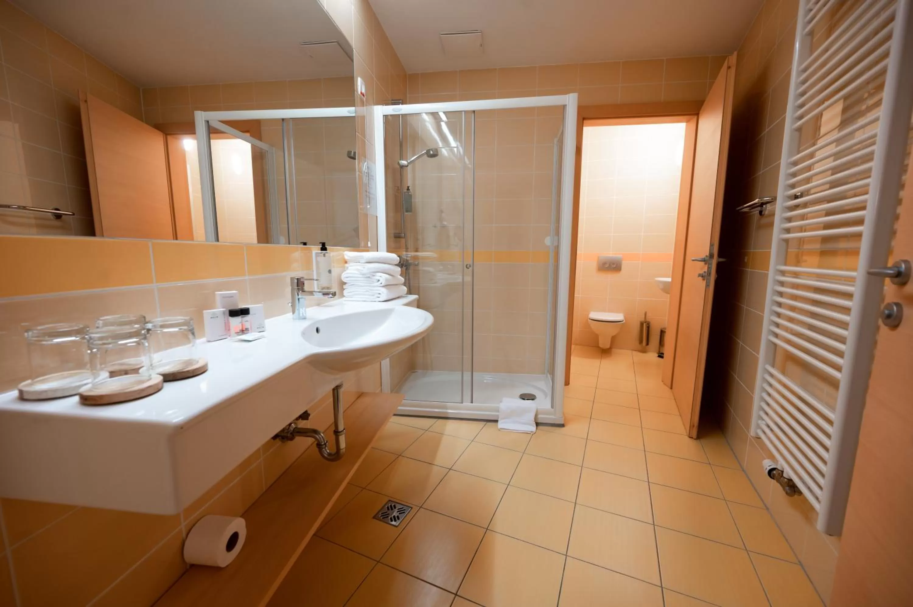 Shower in Wellness Hotel Montis