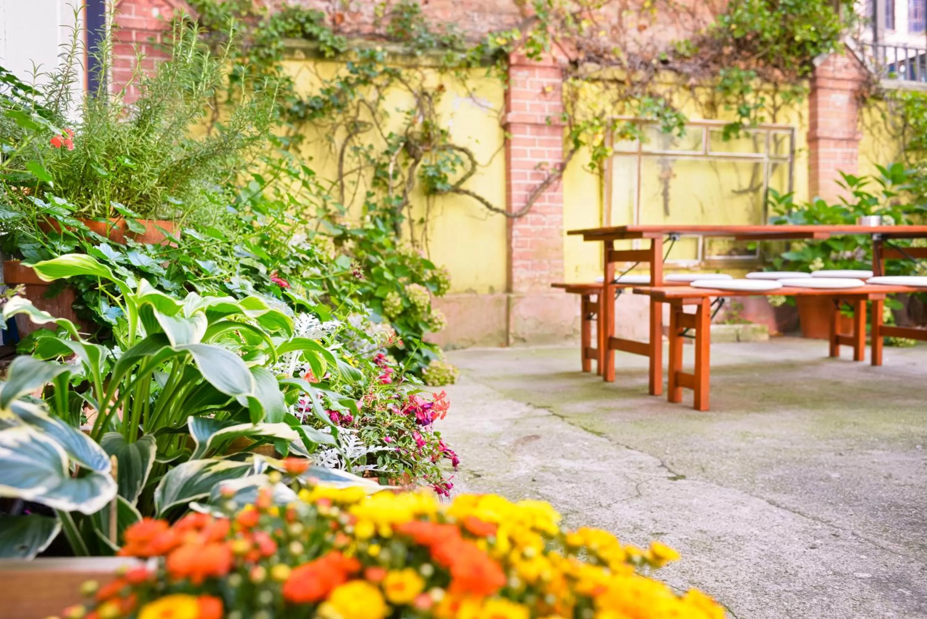 Patio in Old Town Hotel