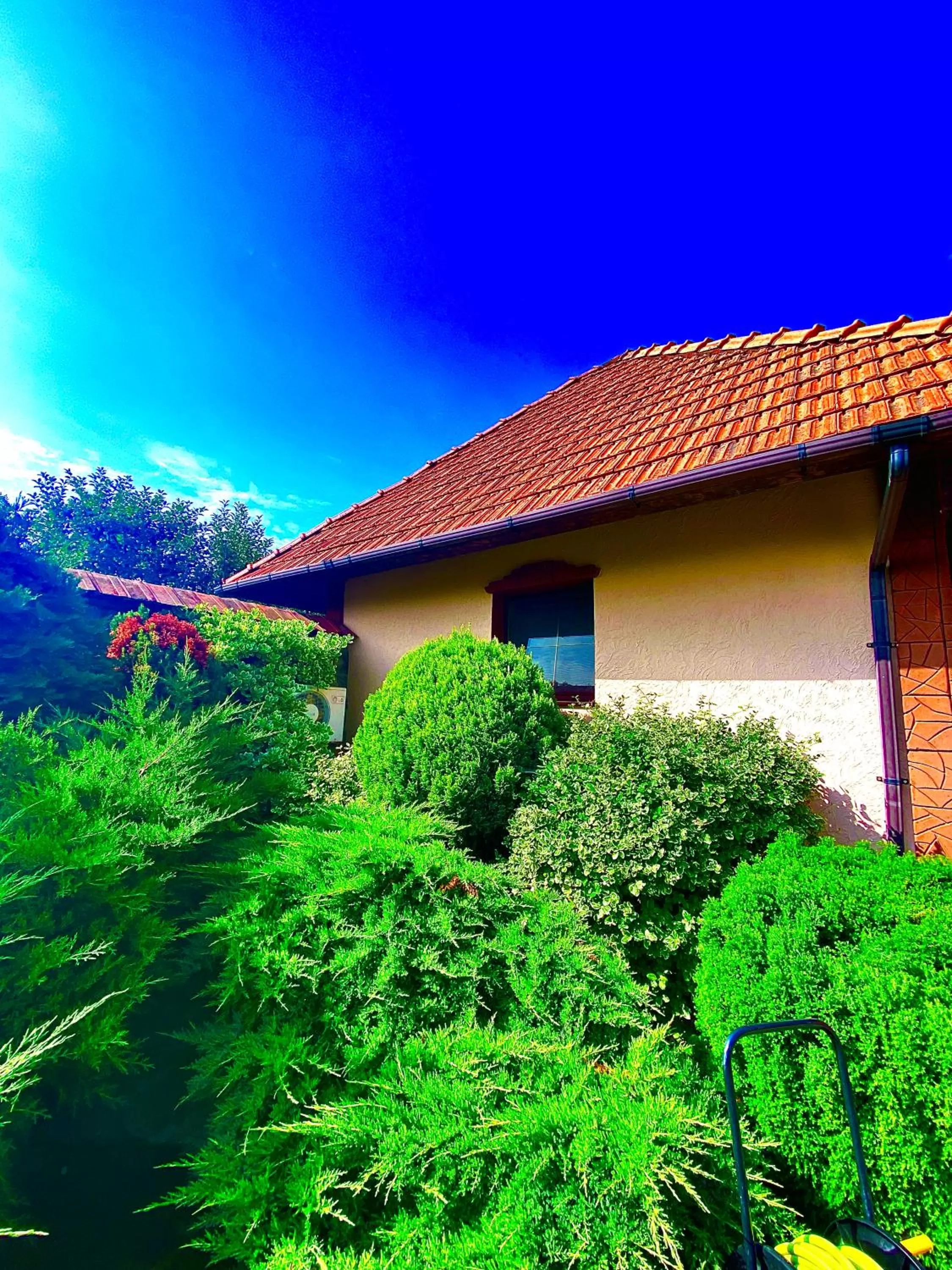 Property building in Hotel Complex Bahus