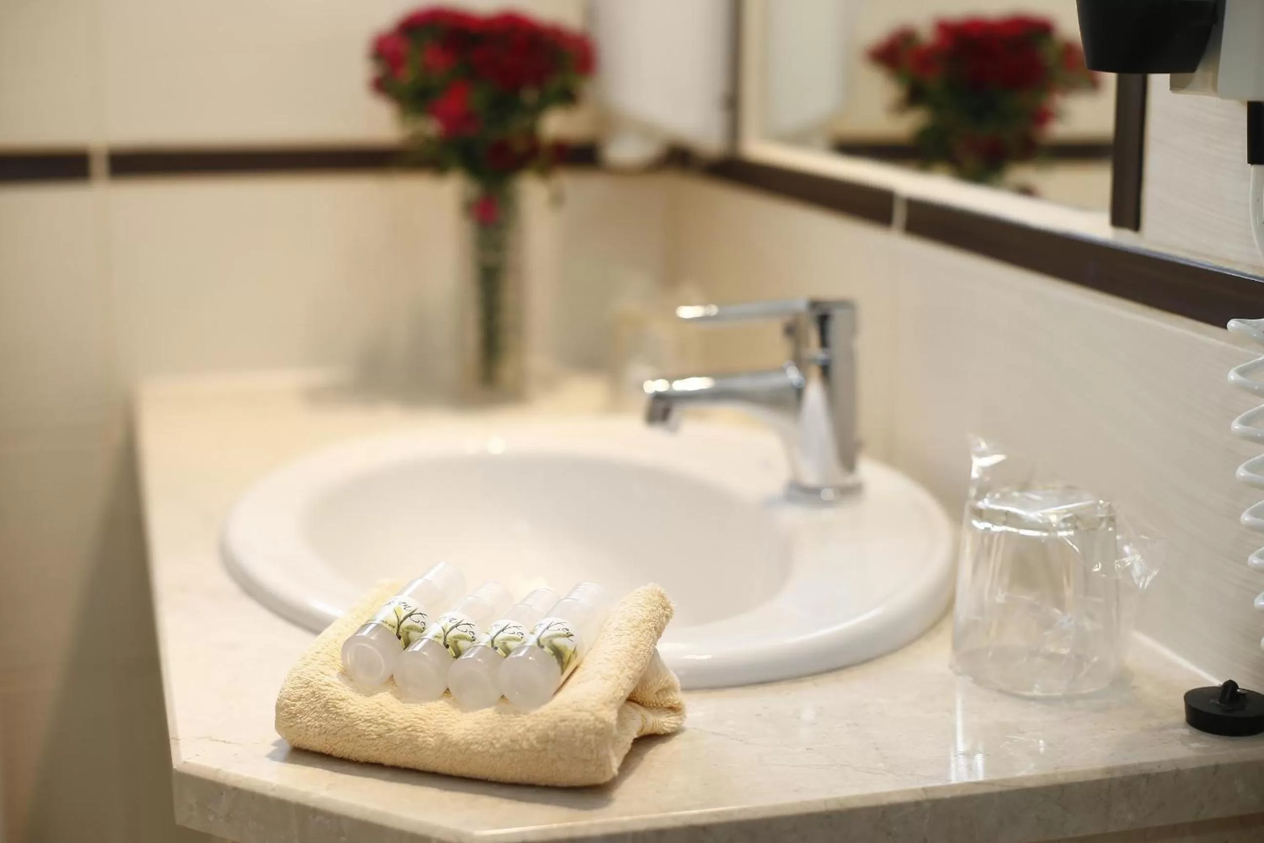 Superior Double or Twin Room with City View - single occupancy in Hotel Korona Wellness, Rendezvény és Borszálloda