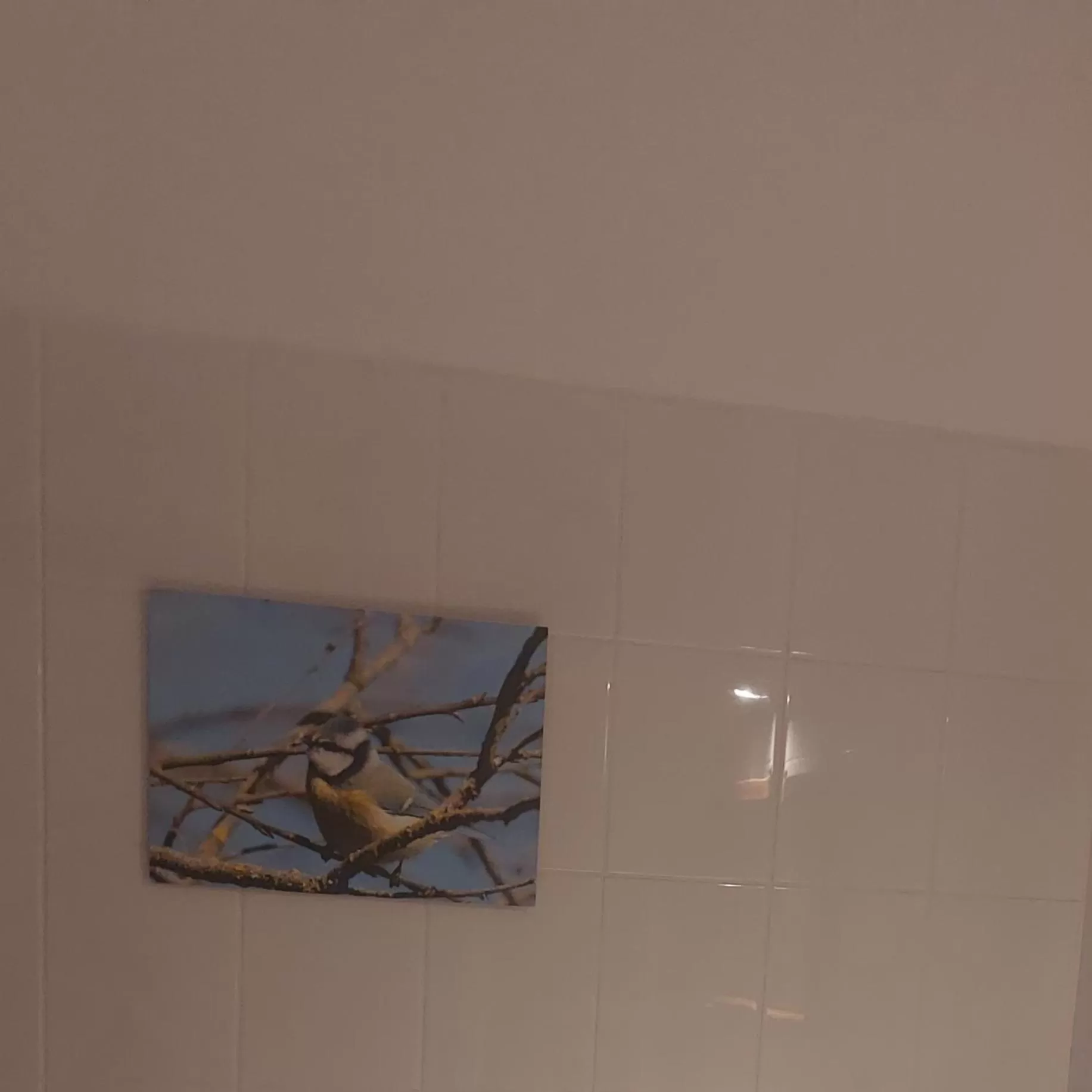 Decorative detail in Dom na Mazurach Pilec