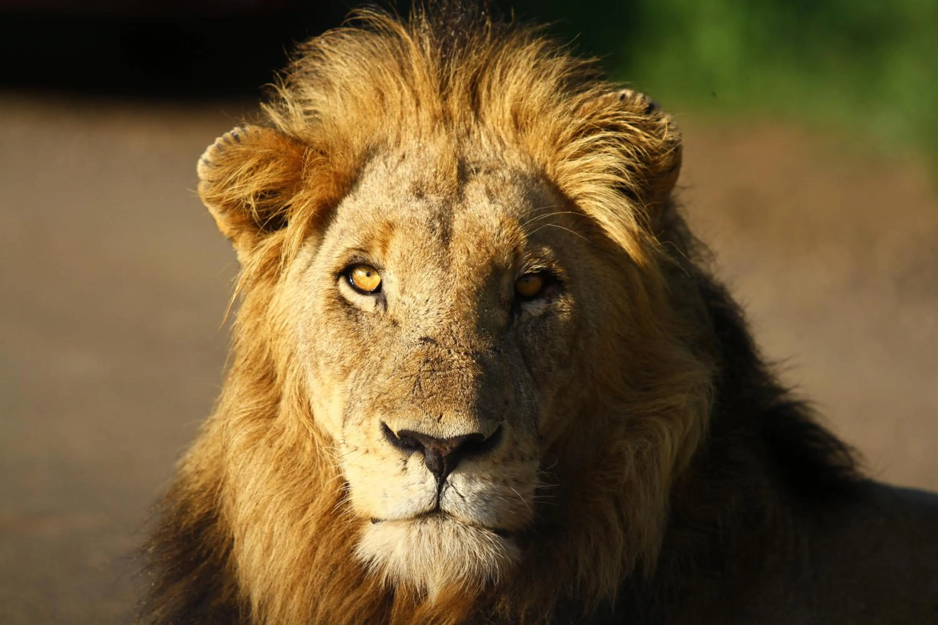 Activities in Kaia Tani Exclusive Guesthouse