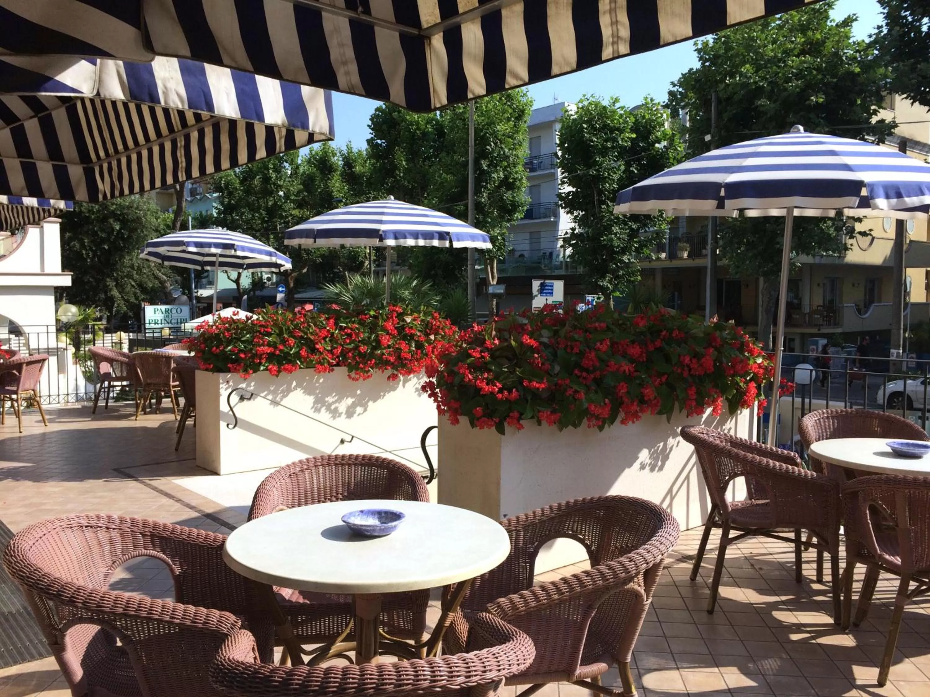 Patio in Hotel Cobalto