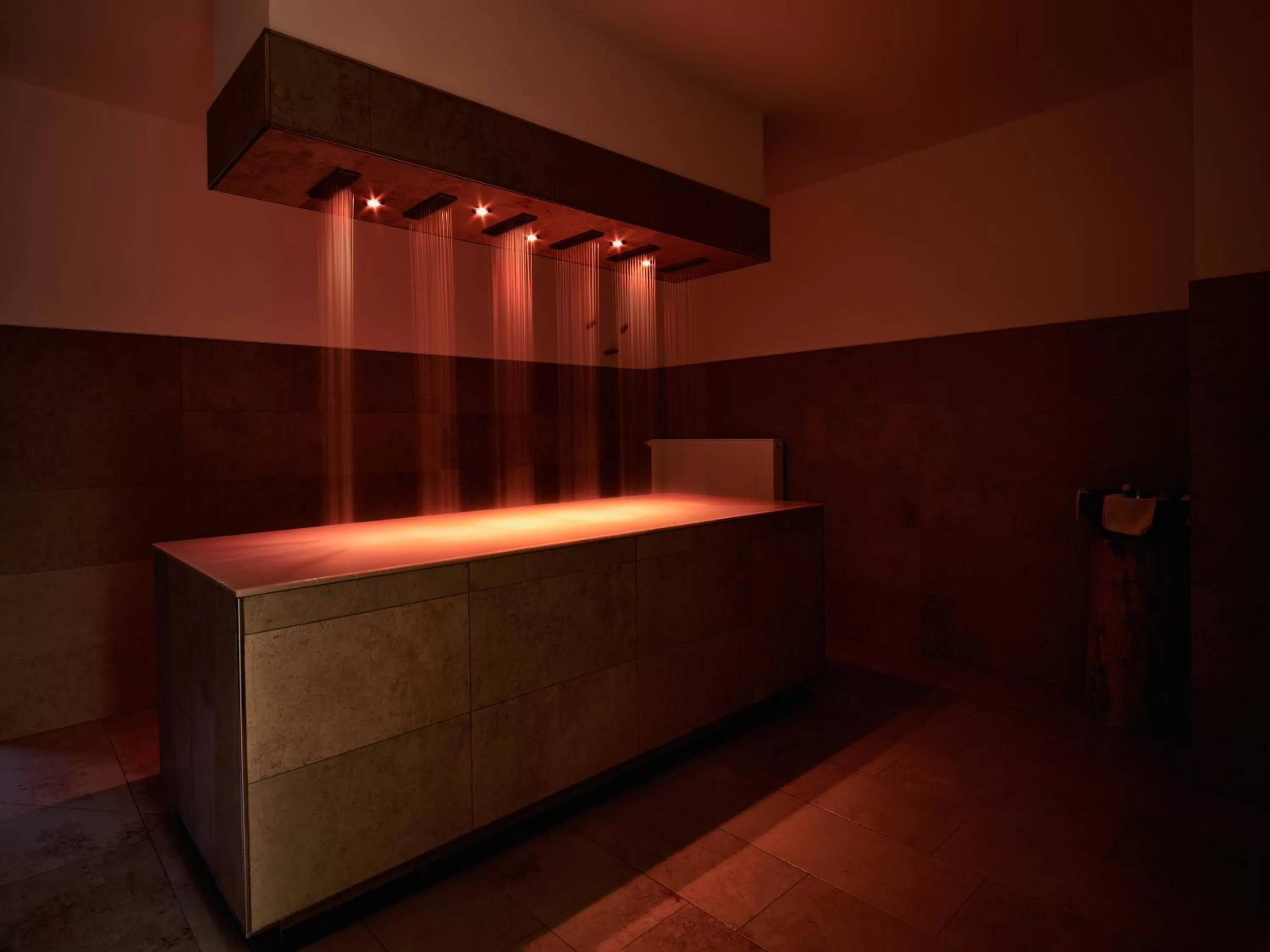 Spa and wellness centre/facilities in Romantik Hotel Hirschen