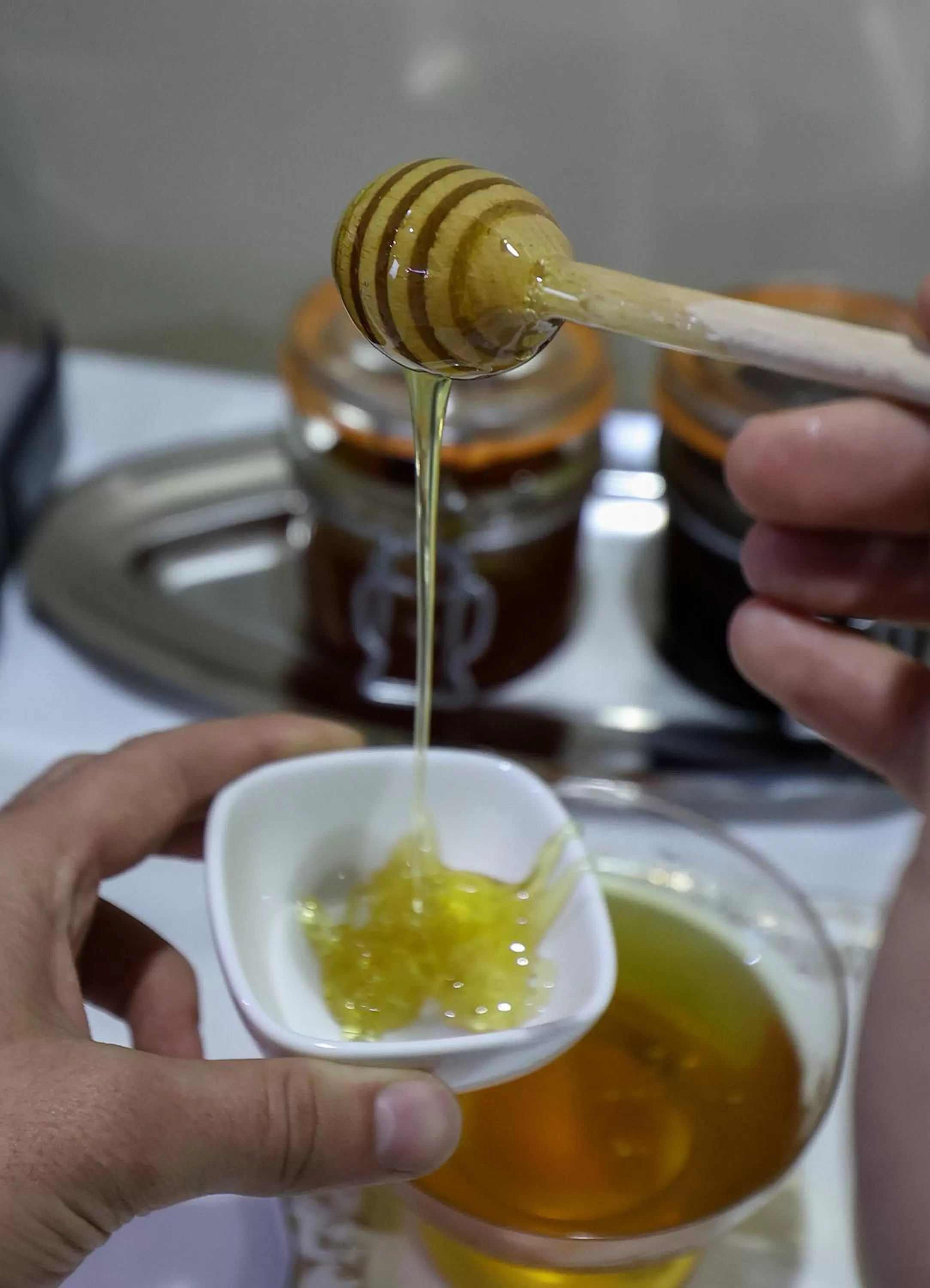 Christi's Hotel Borova