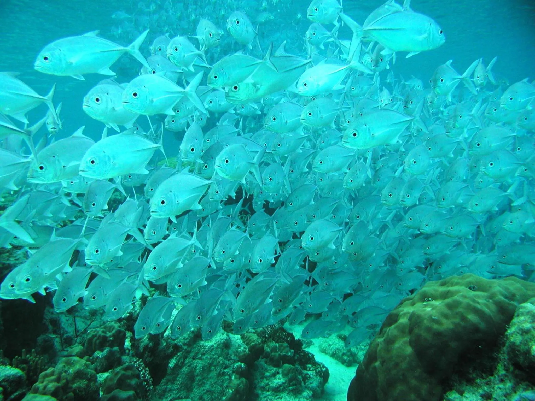 View (from property/room) in Discovery Coron formerly Club Paradise Palawan