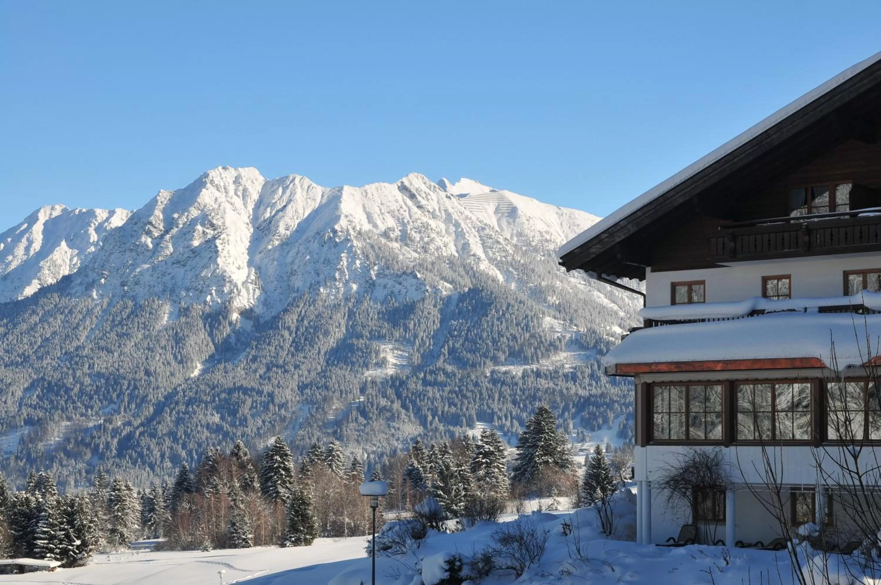 Natural landscape, Winter in Ringhotel Nebelhornblick