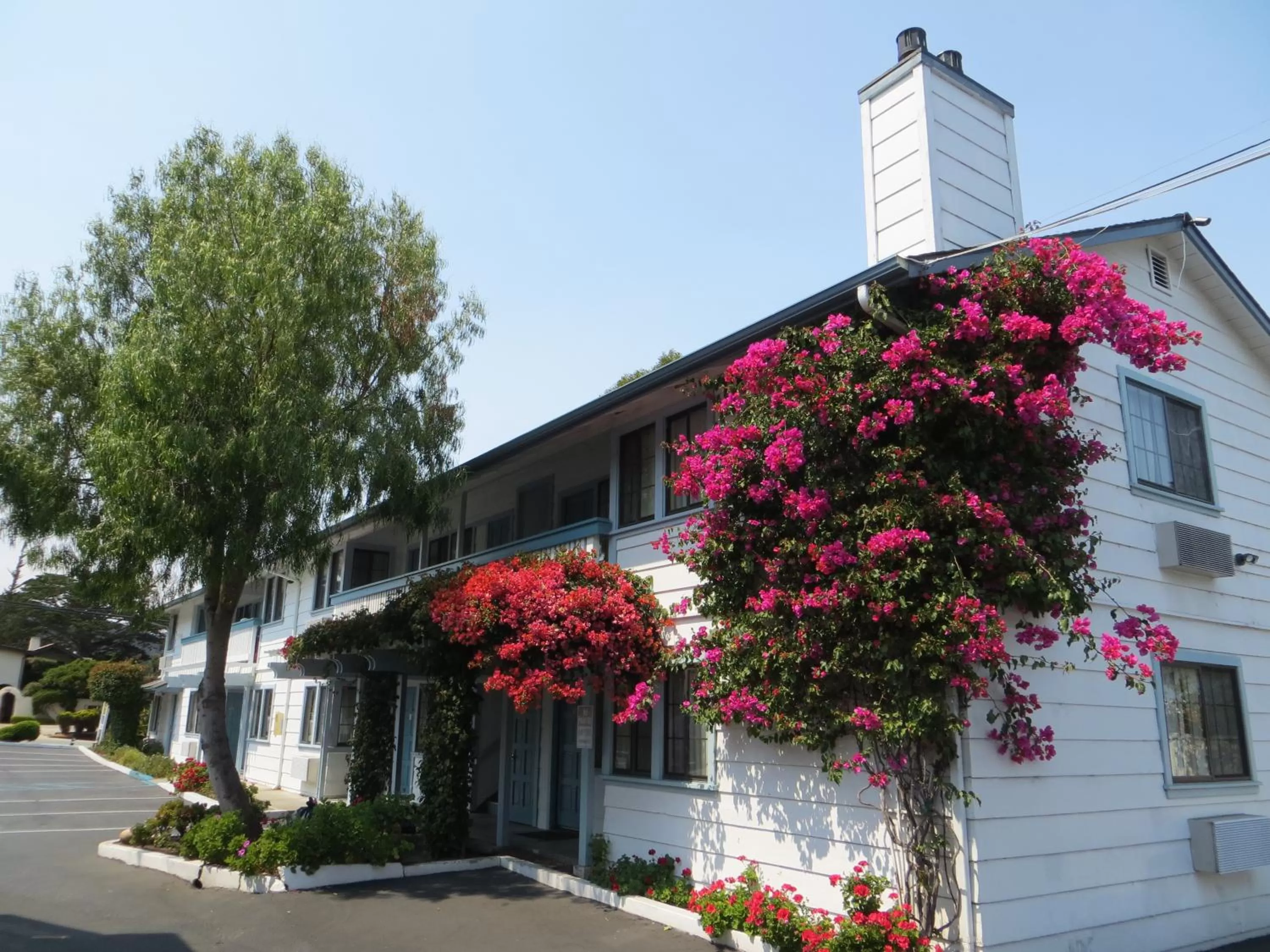 Property building in Arbor Inn Monterey