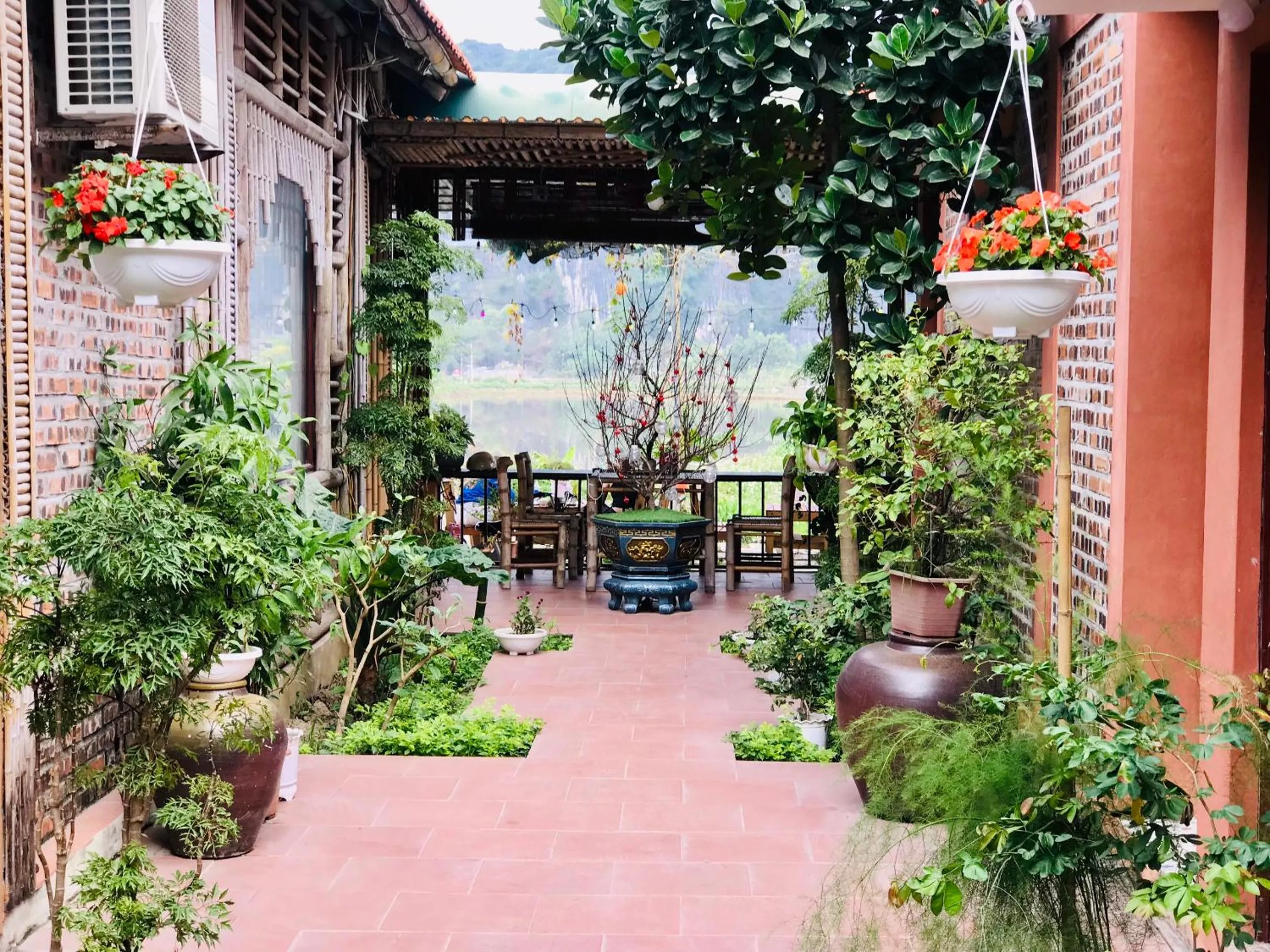 Tam Coc Mountain View Homestay