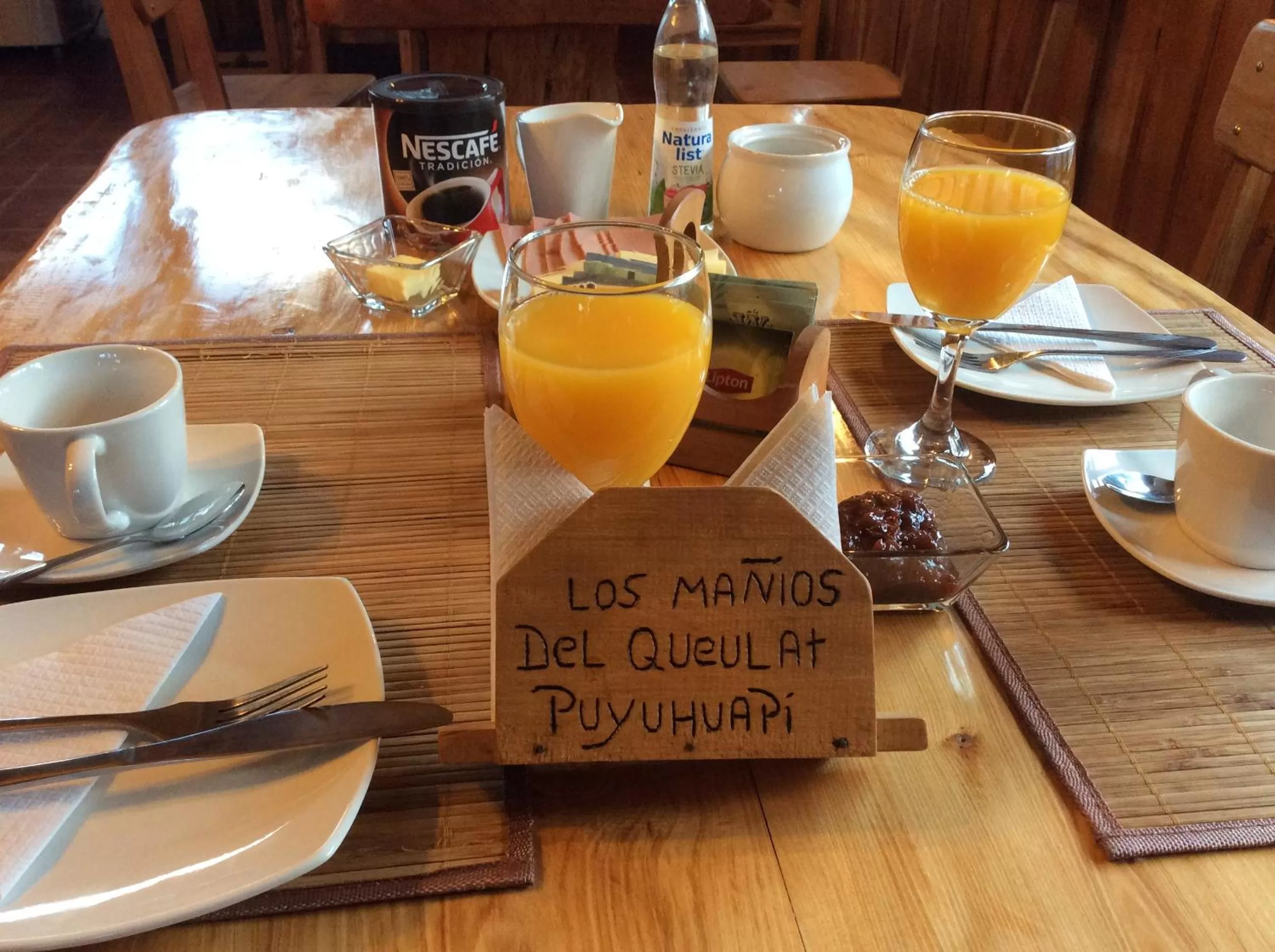 Other in Los Mañíos Del Queulat Puyuhuapi