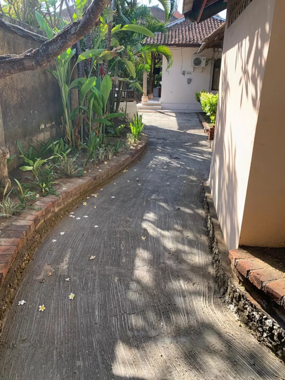 Garden in Fat Yogi Cottages