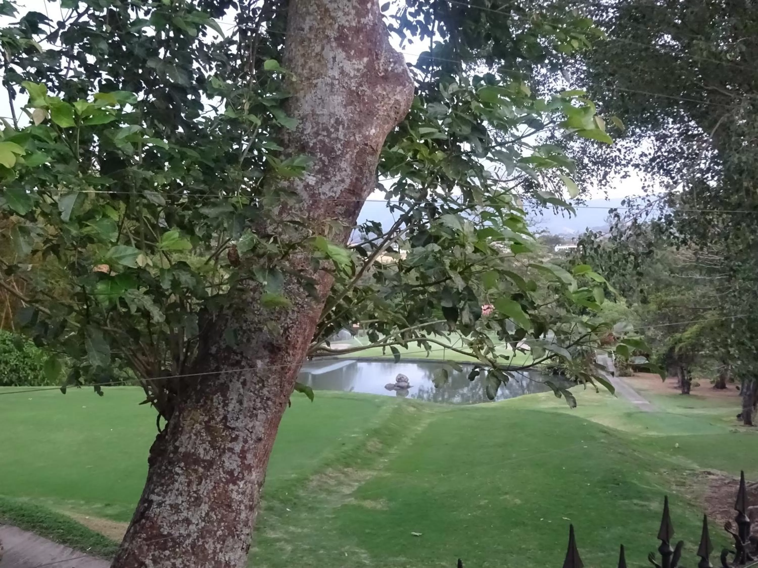 Photo of the whole room in Alameda Cariari Boutique Hotel