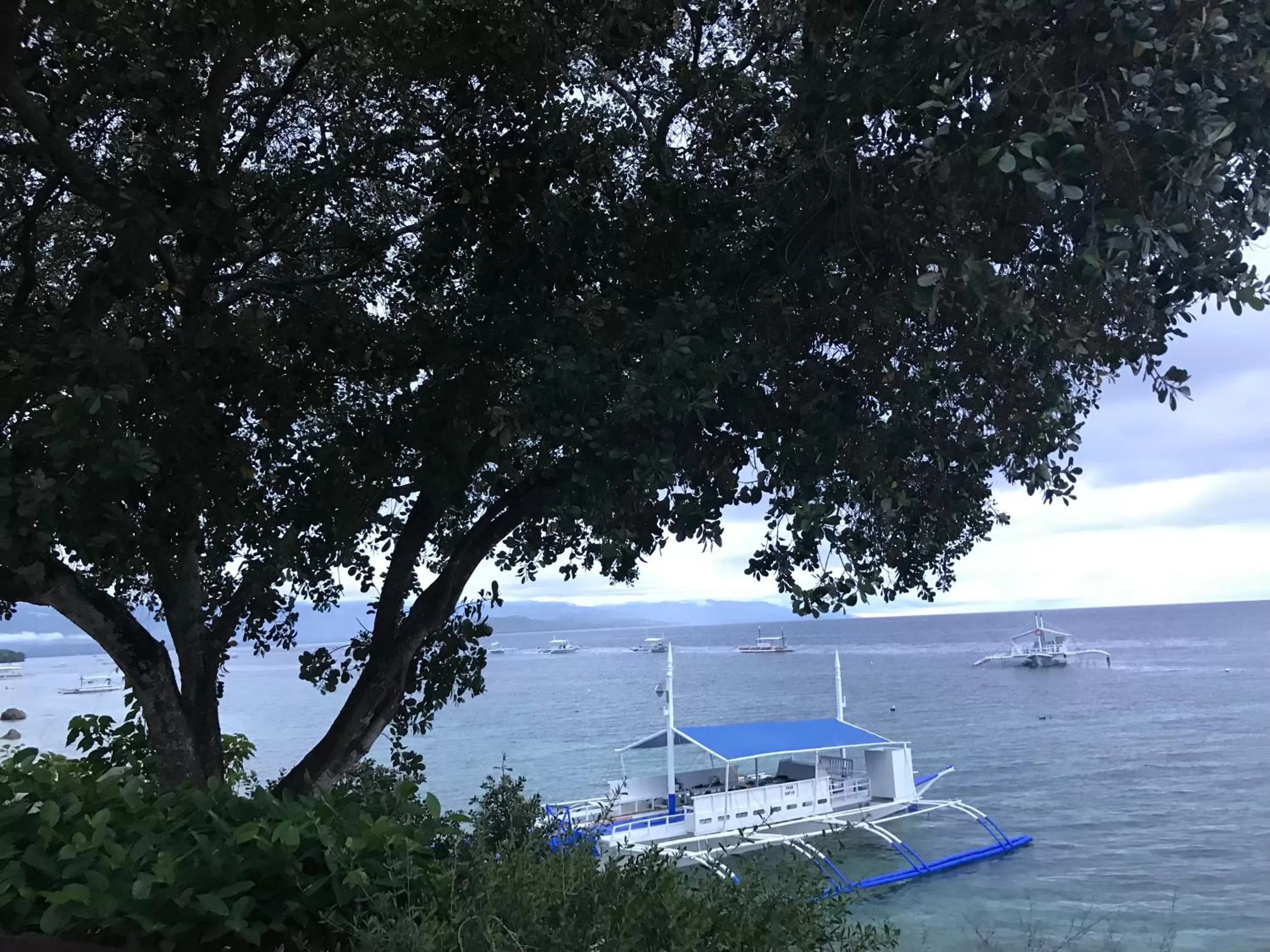 Pescador View - Beachfront ,Extensions & nearby the Ocean Hostels & Restaurant Moalboal