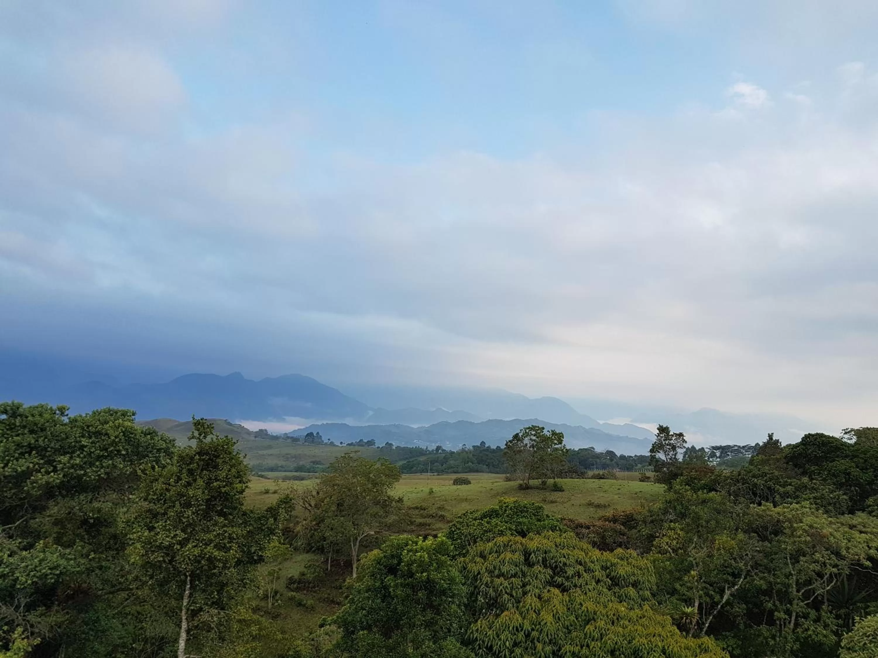 View (from property/room) in Terrazas de Guadalupe