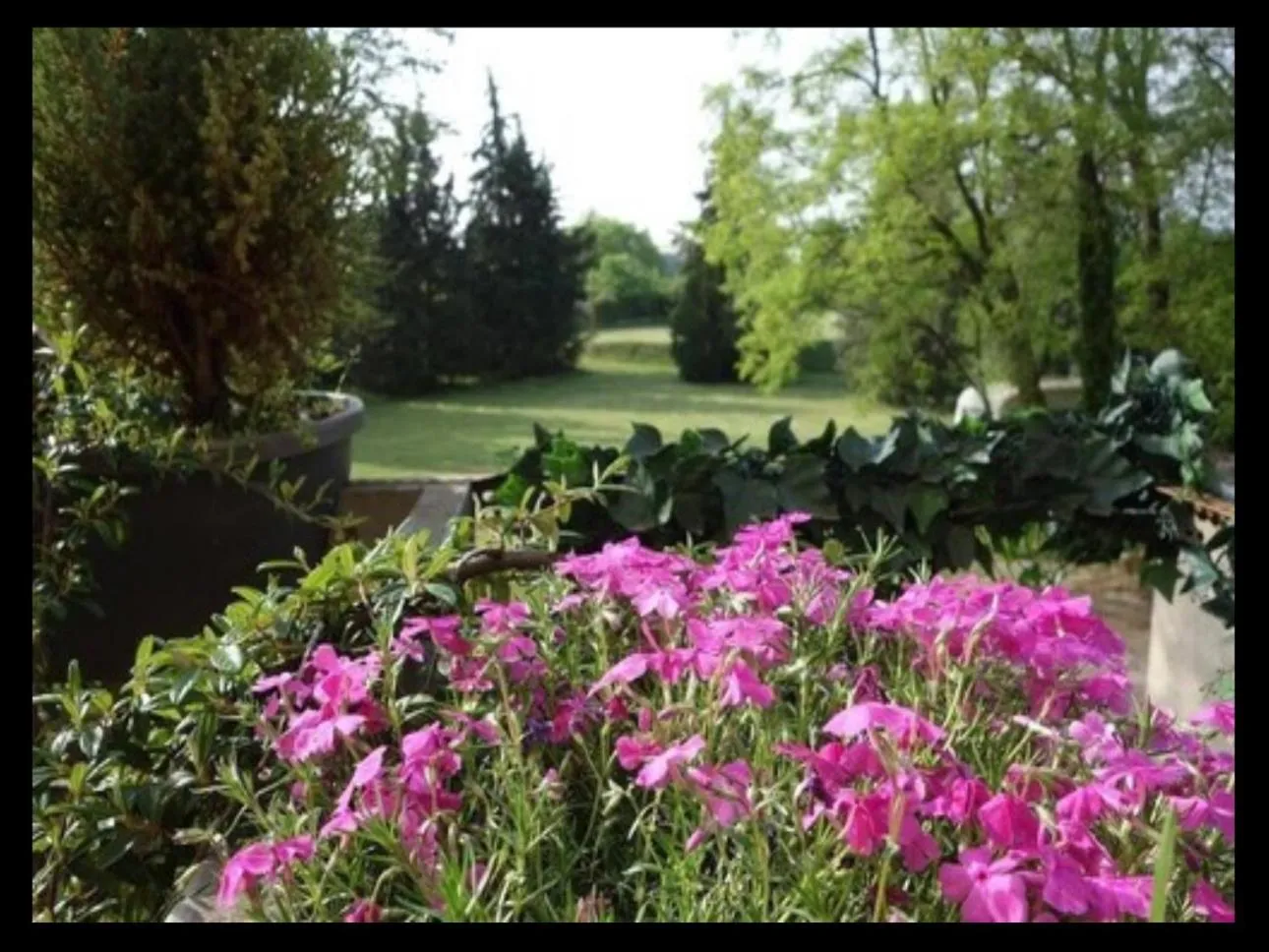 Garden in Euromotel Croce Bianca