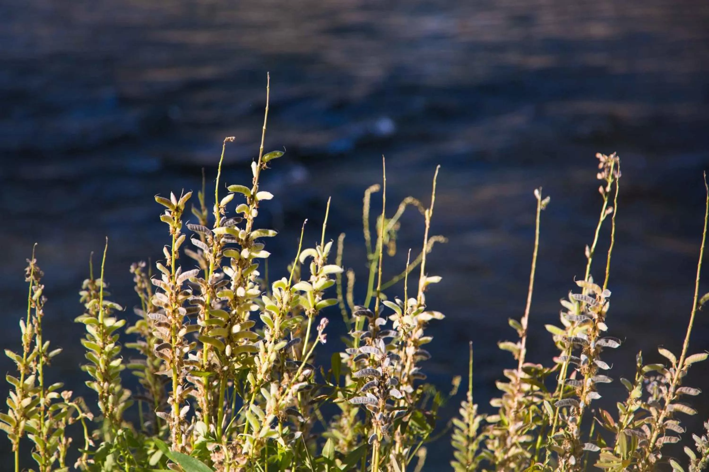 Summer in Hotel Rio Vista