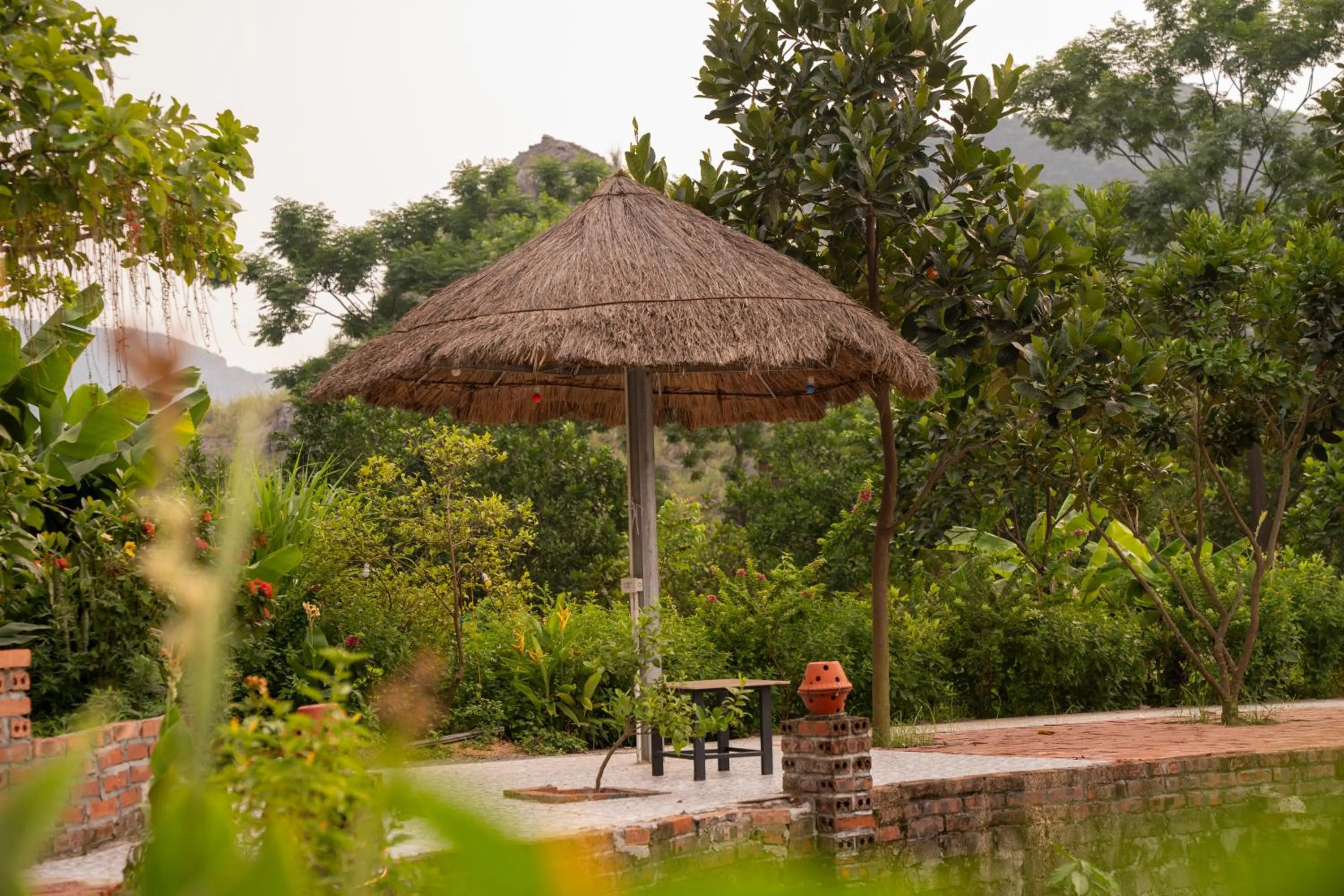 Natural landscape in Tam Coc Cat Luong Homestay