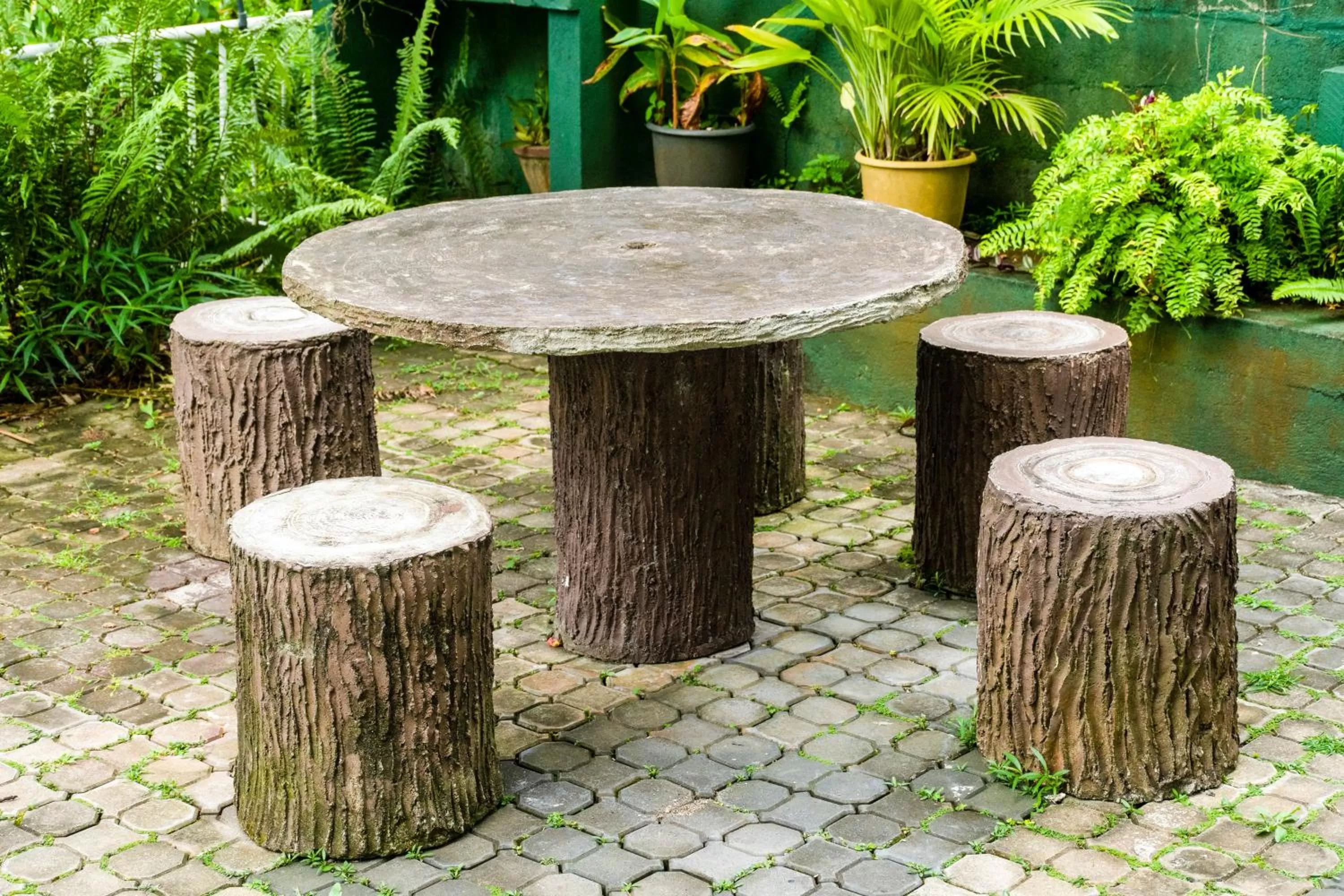 Garden in Kandy Riverside Villa