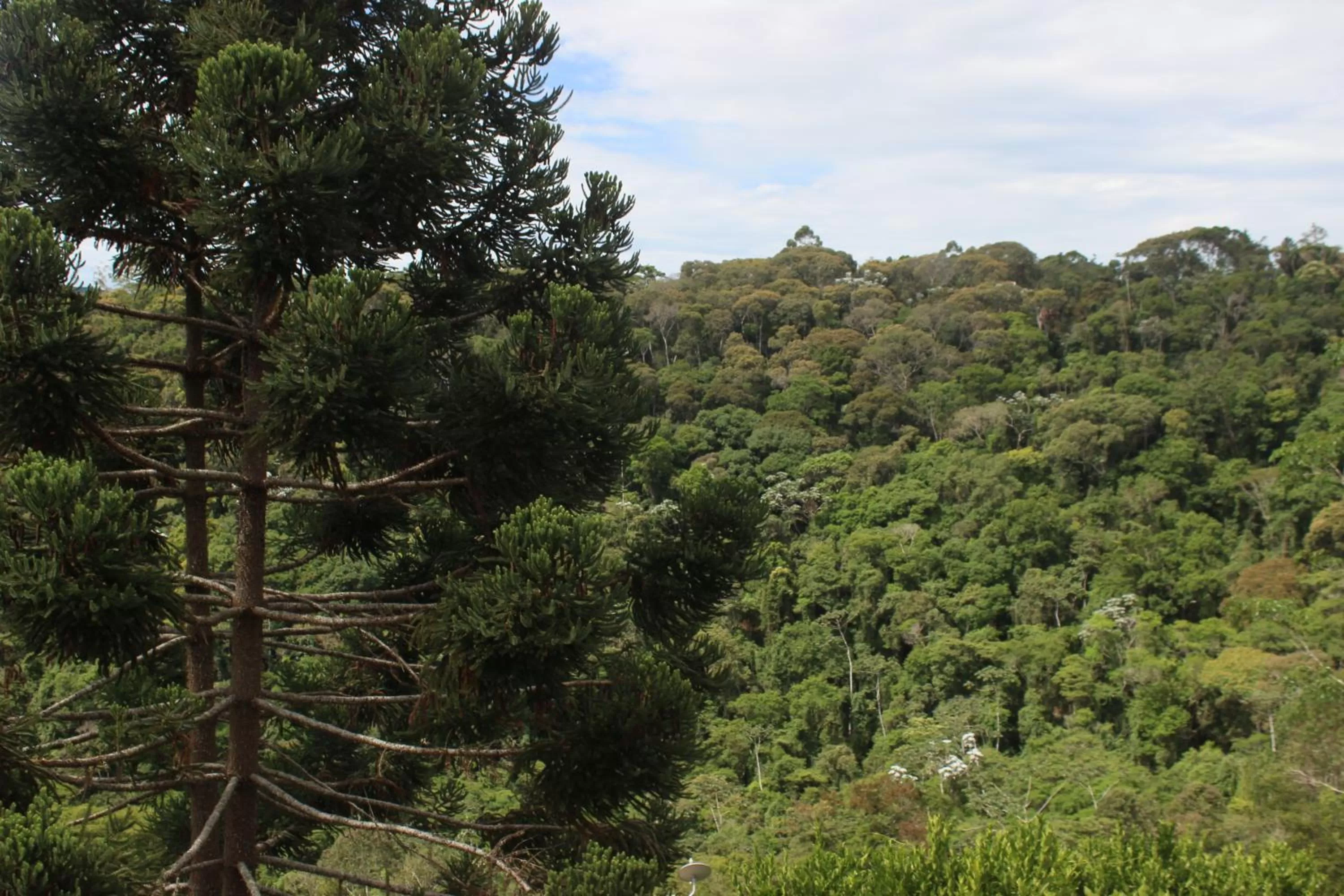 Pousada R.N.C. Nosso Paraíso