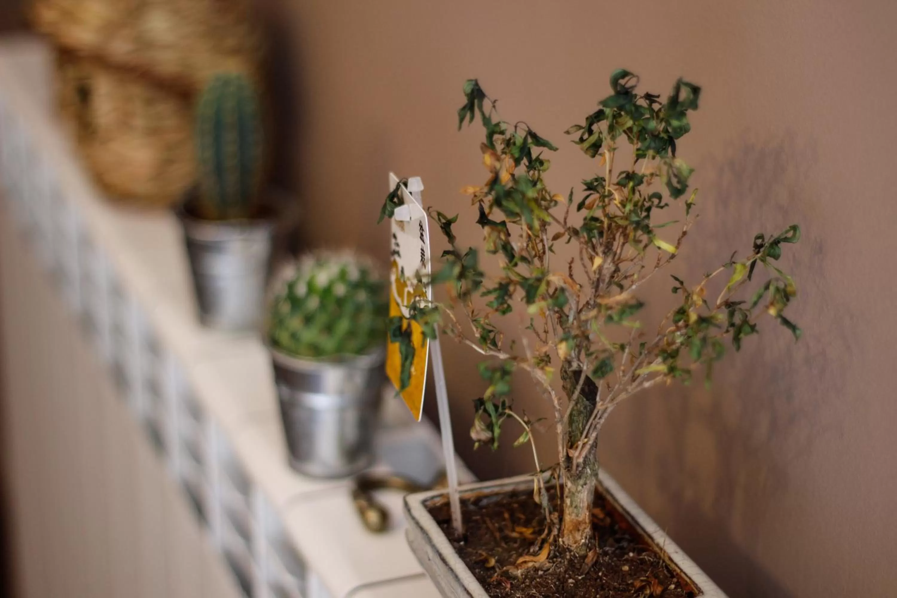 Decorative detail in Pensiunea Taverna Bucium