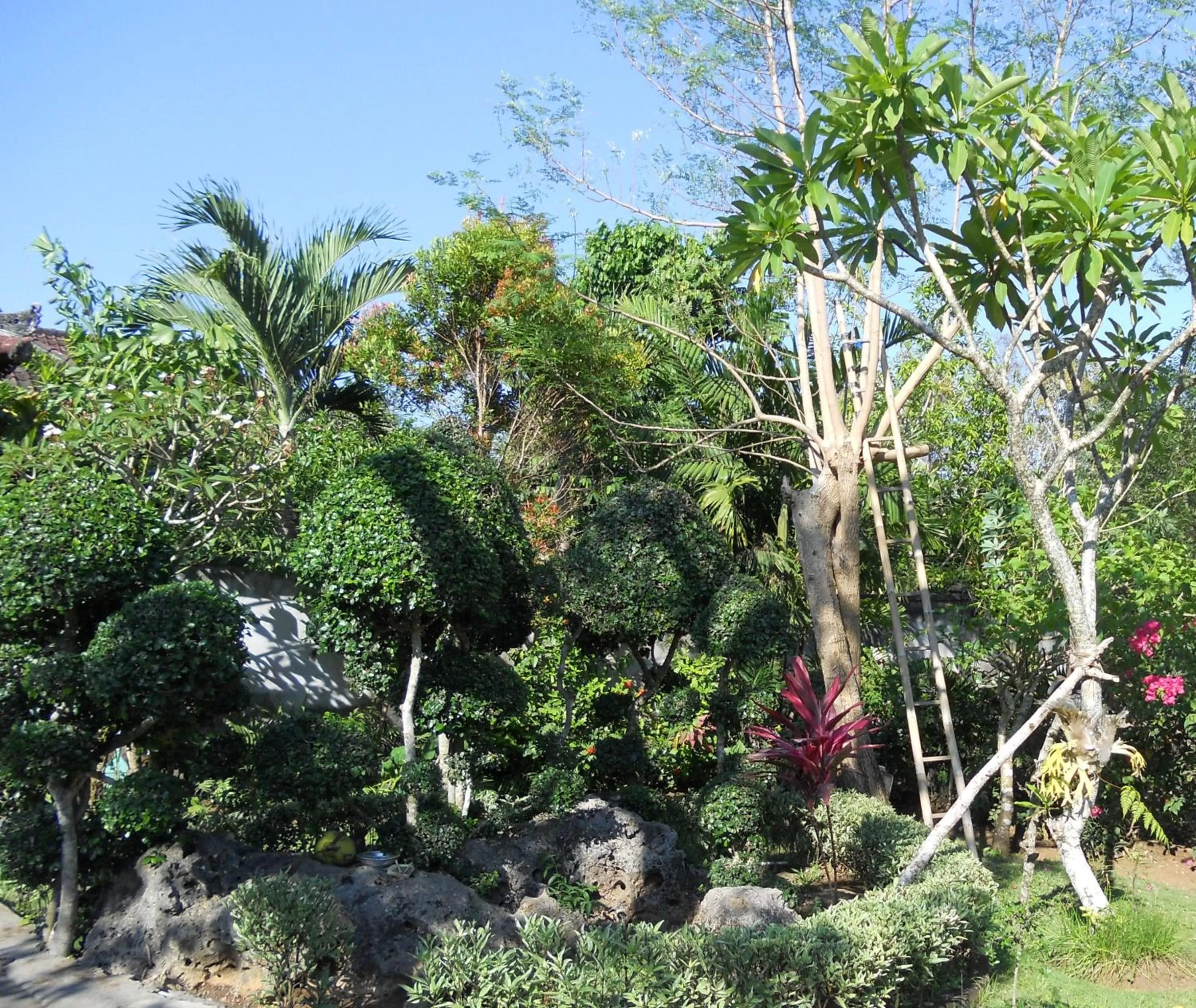 Garden view in Avisara Villa & Suite
