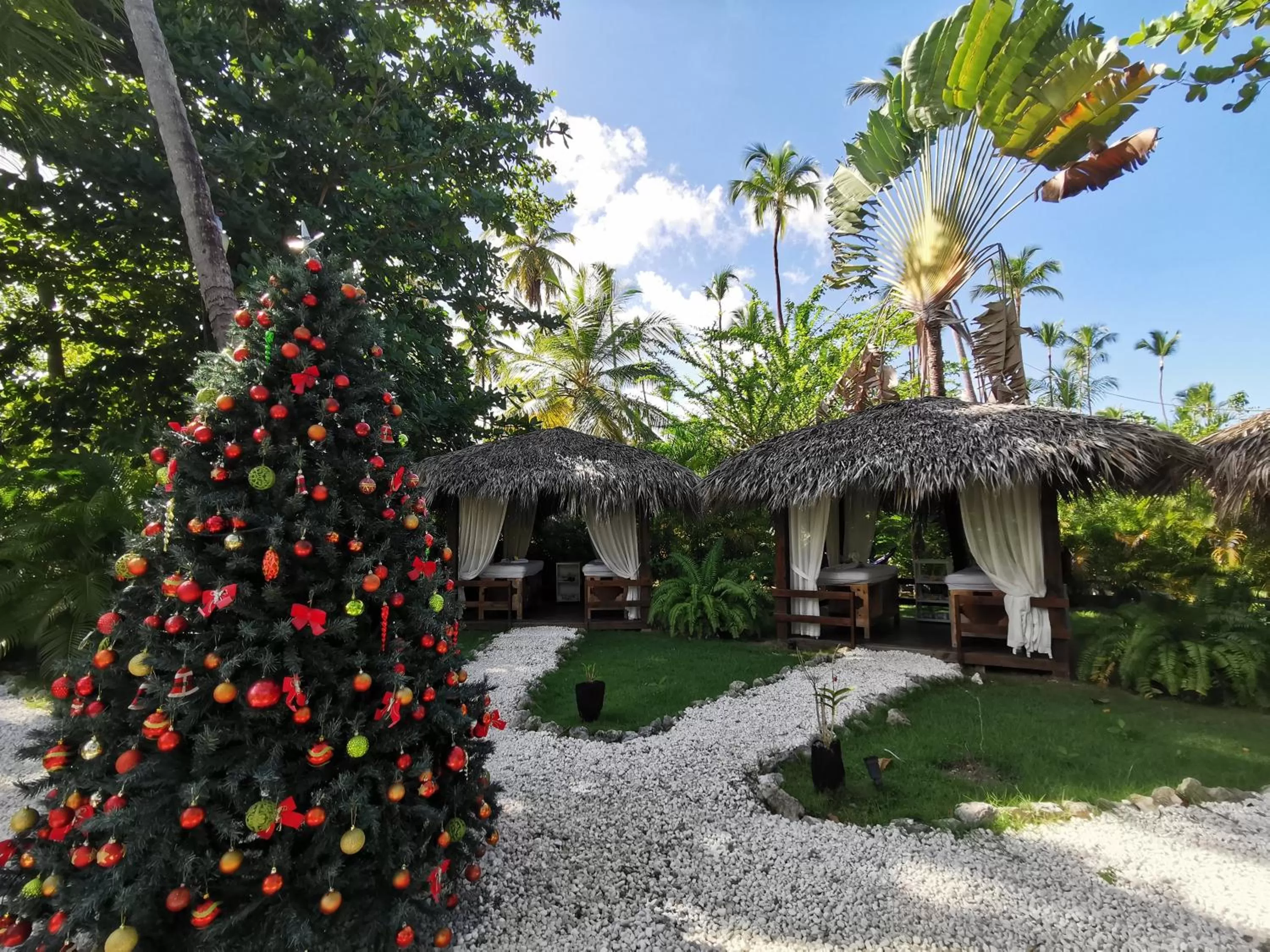 Garden in Tropical Villas at Los Corales Beach - Caribbean Rentals FZCO