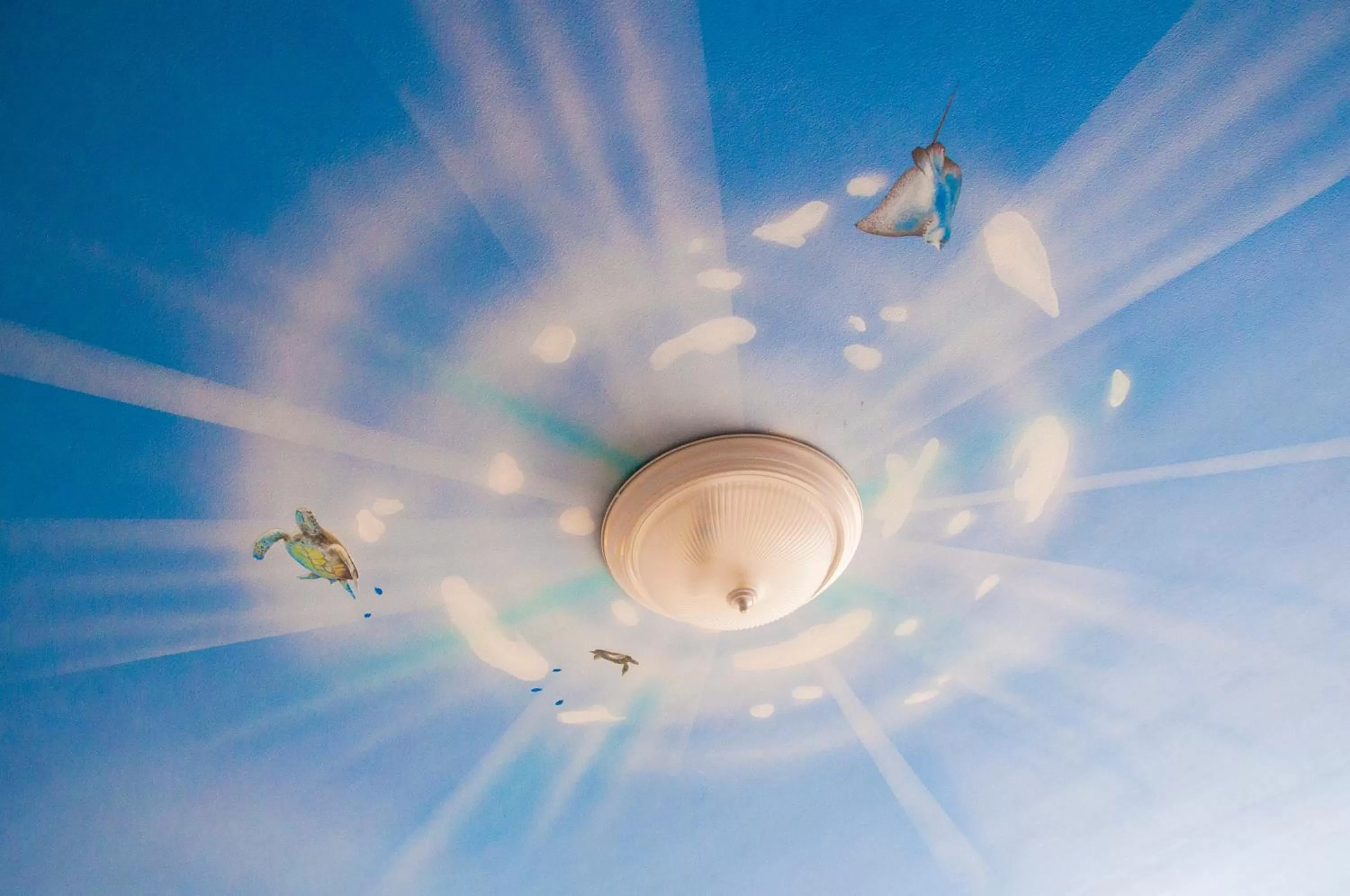 Decorative detail in Holiday Surf Hotel (with full kitchen)