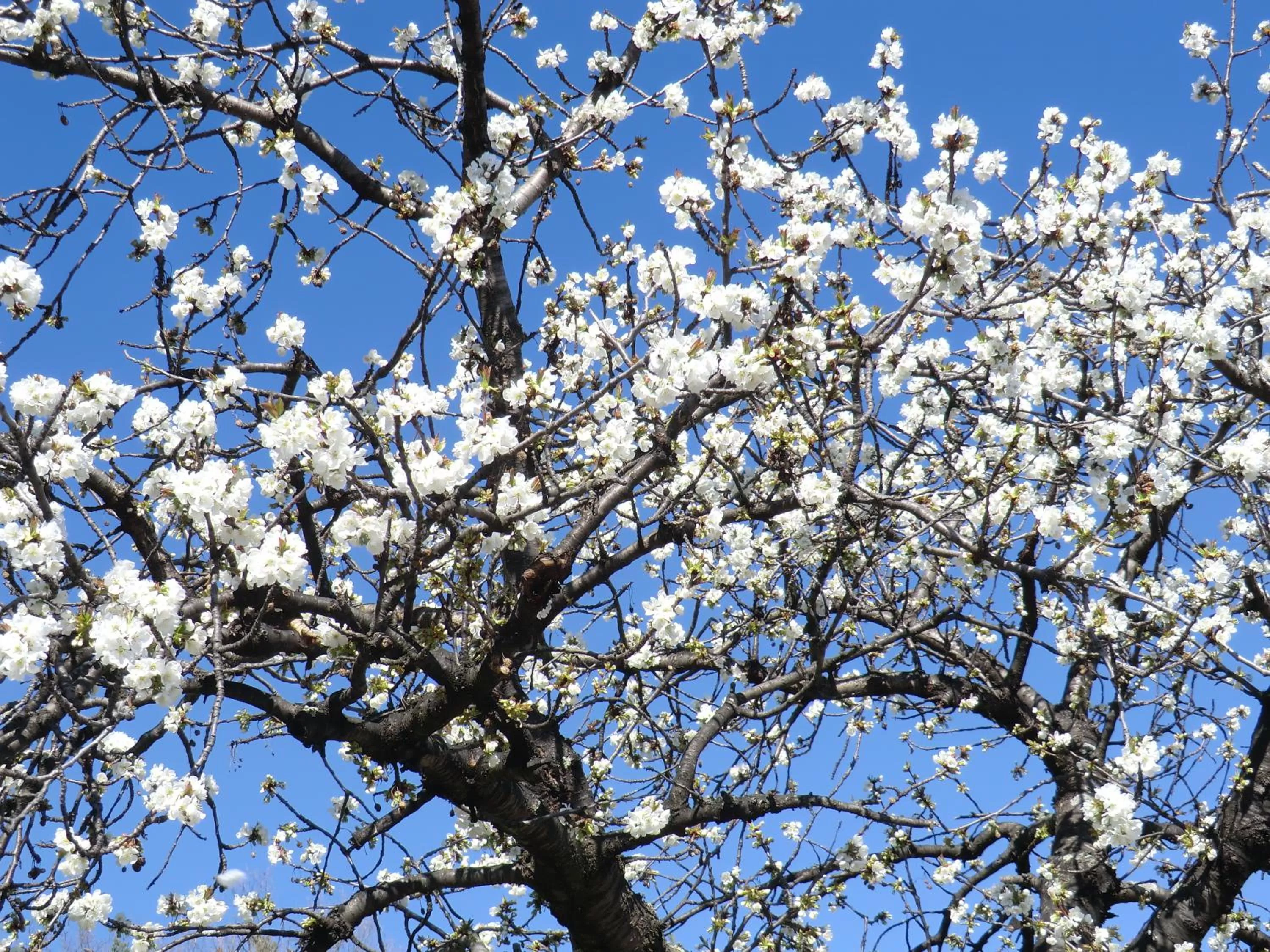 Other in La Bastide de Fontaille