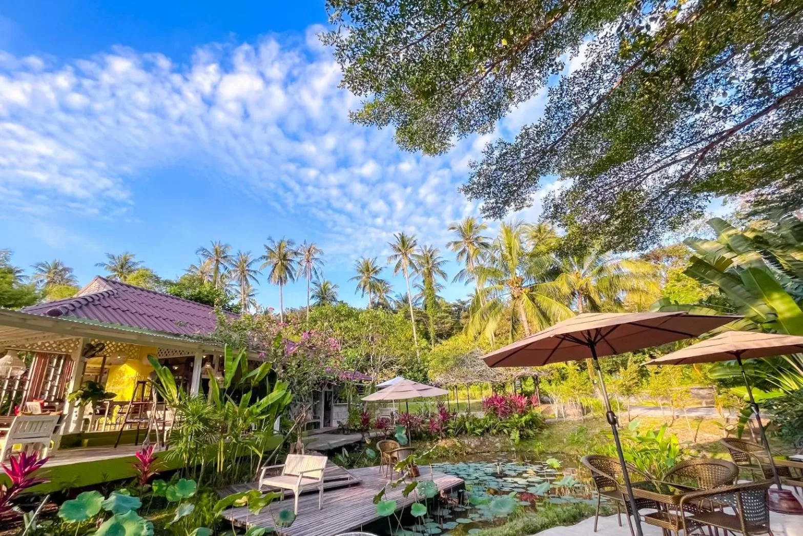 Area and facilities, Property Building in Baan Bua Cottage SHA EXTRA PLUS B5510