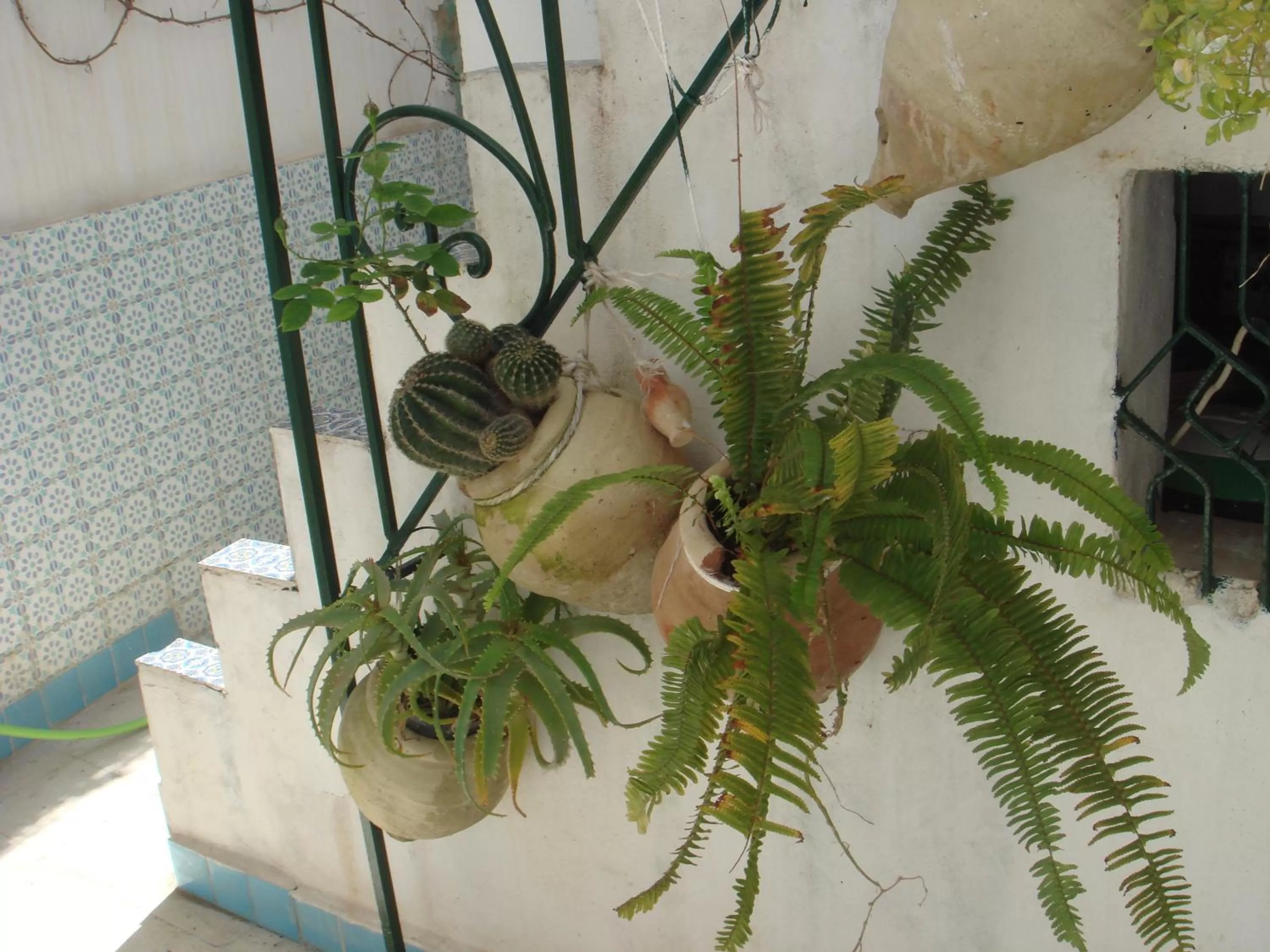 Decorative detail, Patio/Outdoor Area in Dar Warda