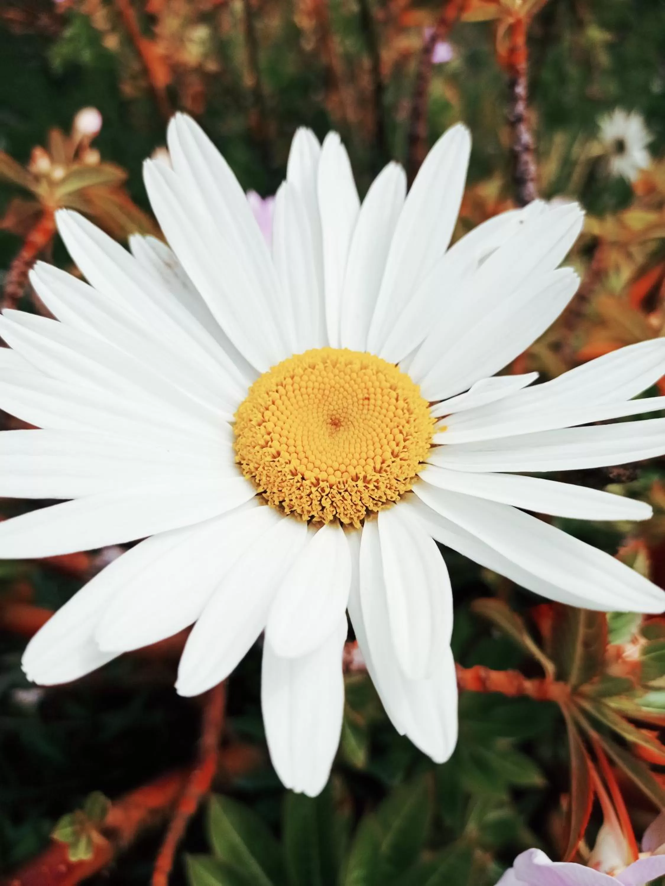 Hotel Refugio Pozo Azul