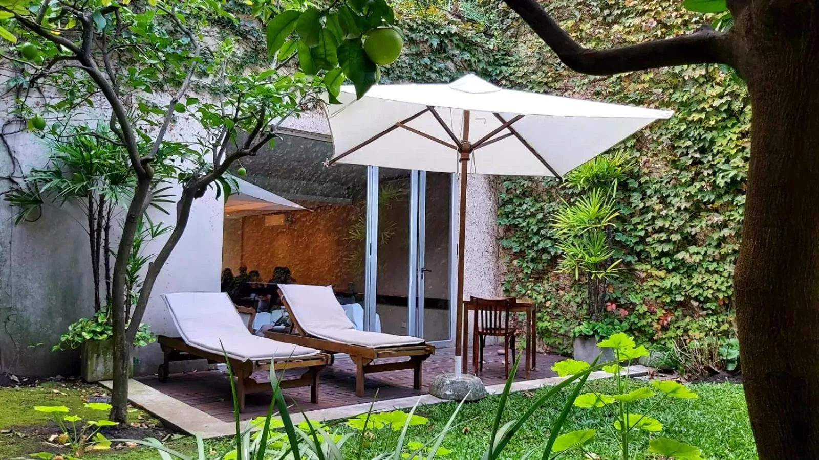 Garden in 248 Finisterra