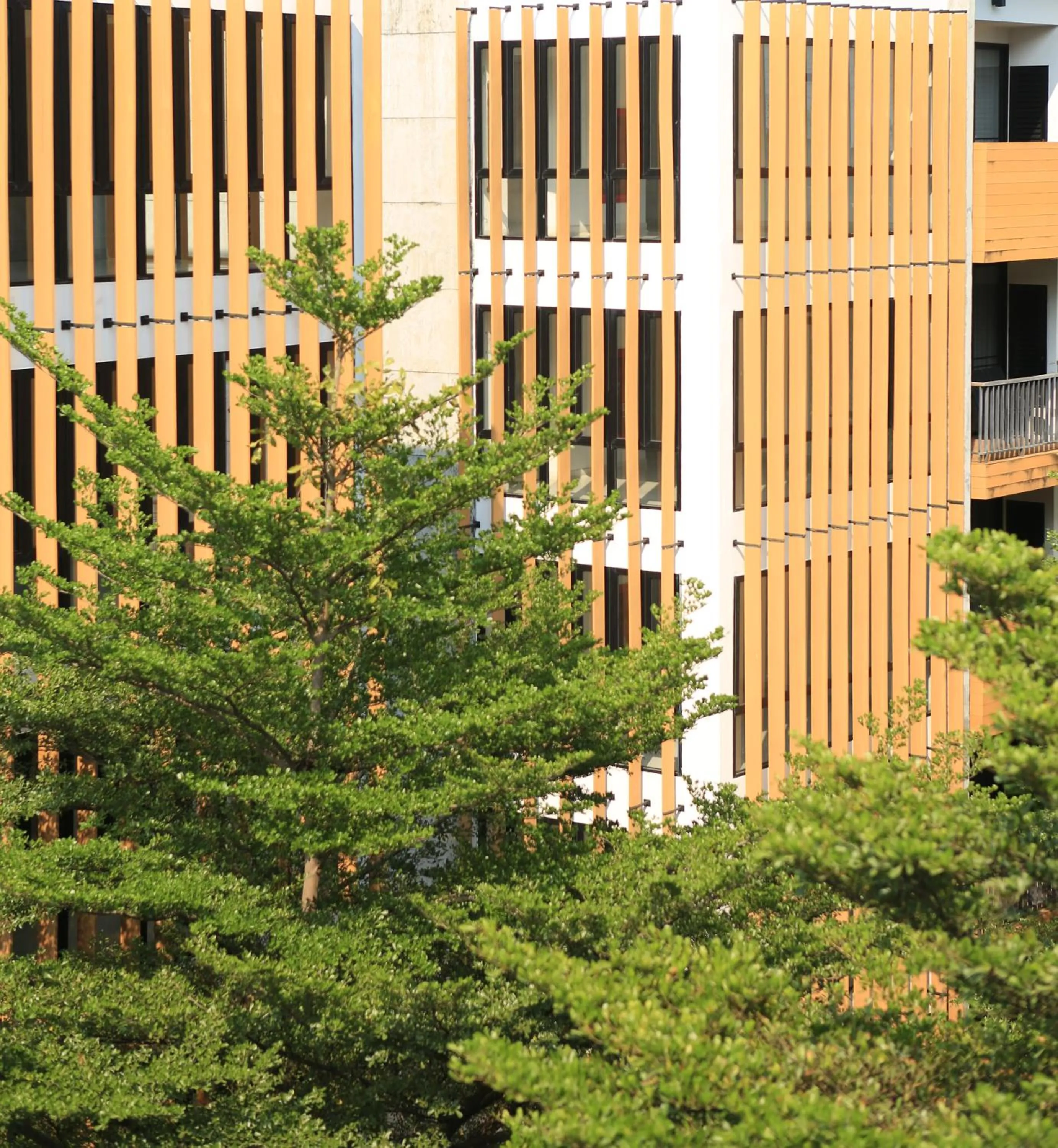 View (from property/room) in The Silver Palm Wellness Resort