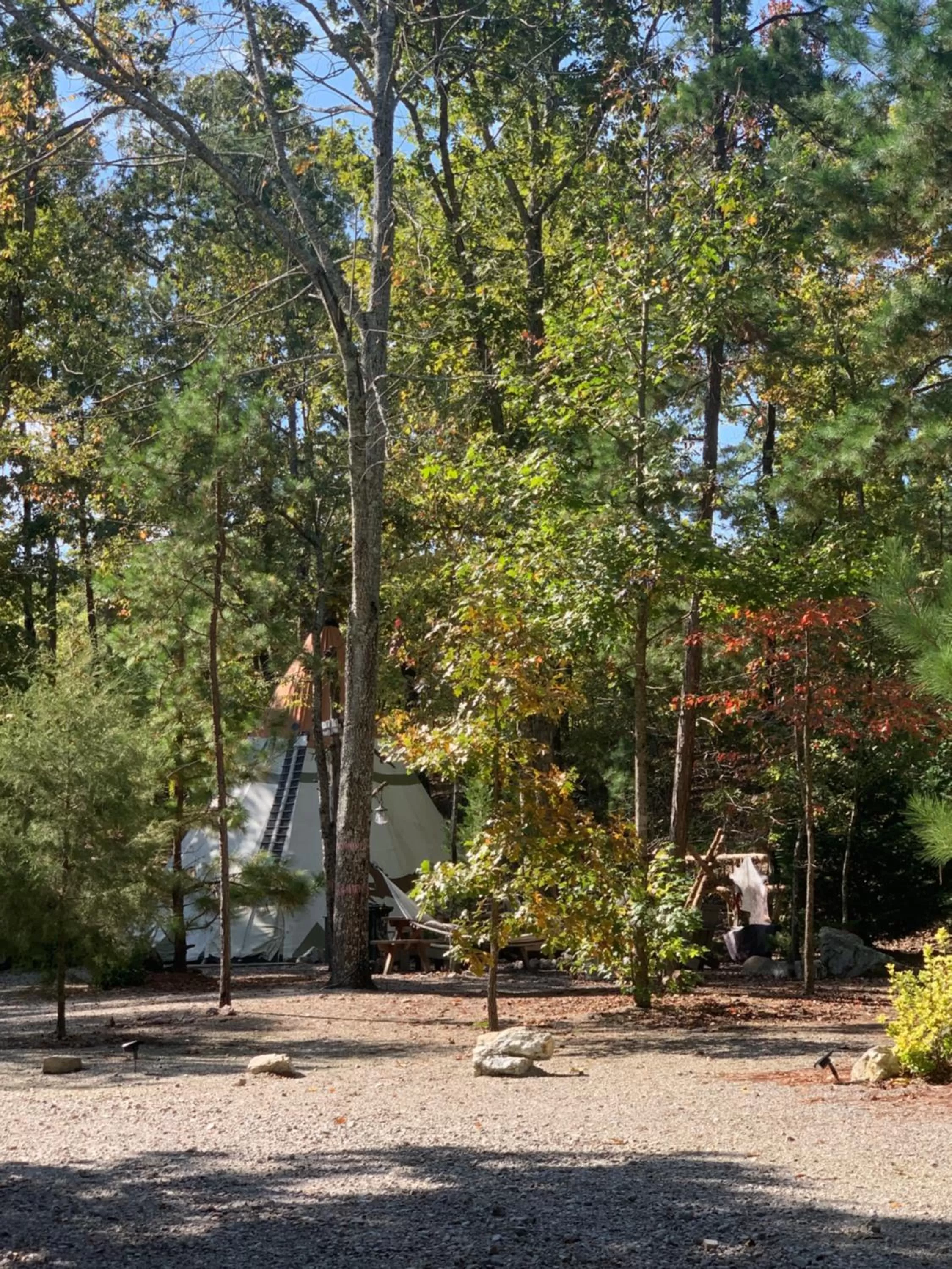 Natural landscape in Fox Pass Cabins
